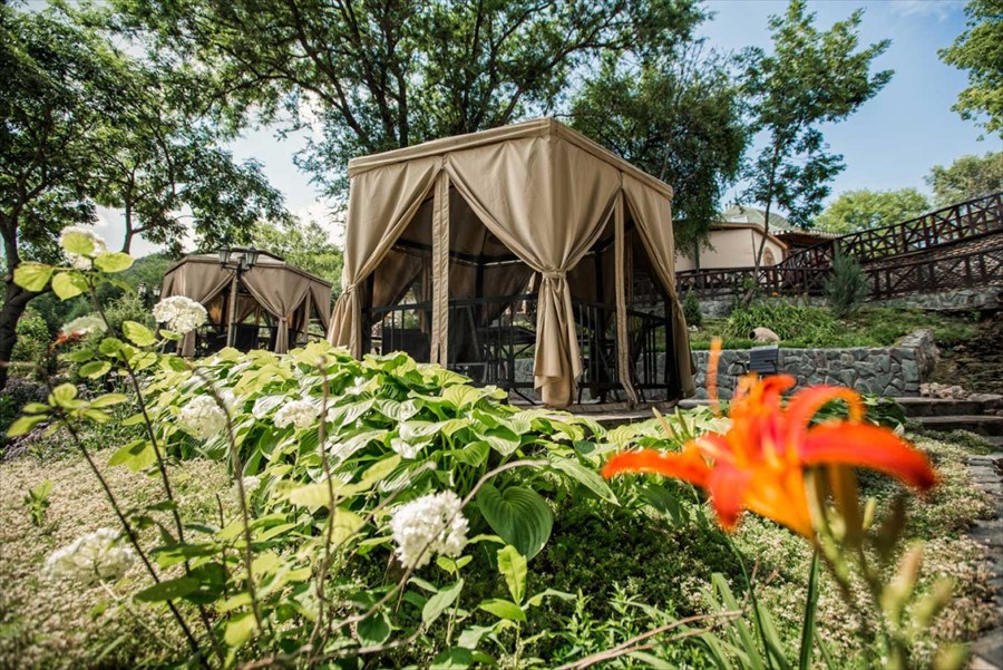 Фото Парк Родник