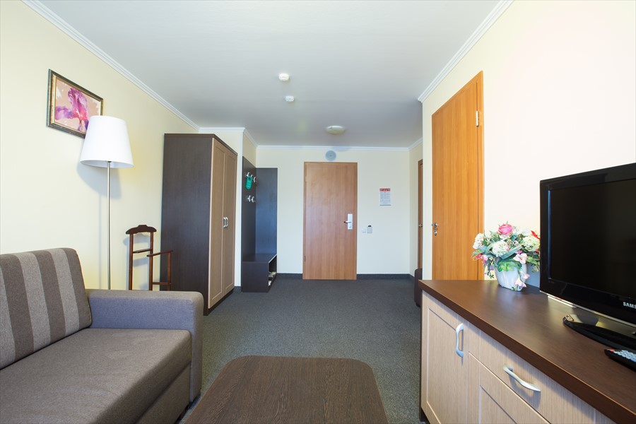 Фото Спутник