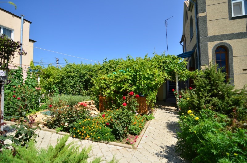 Фото Ласточка