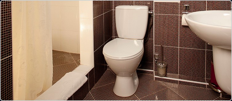 Фото Спарта