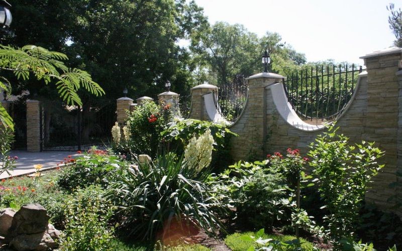 Фото Орхидея