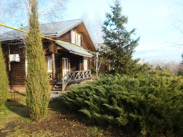 Фото Подсолнух