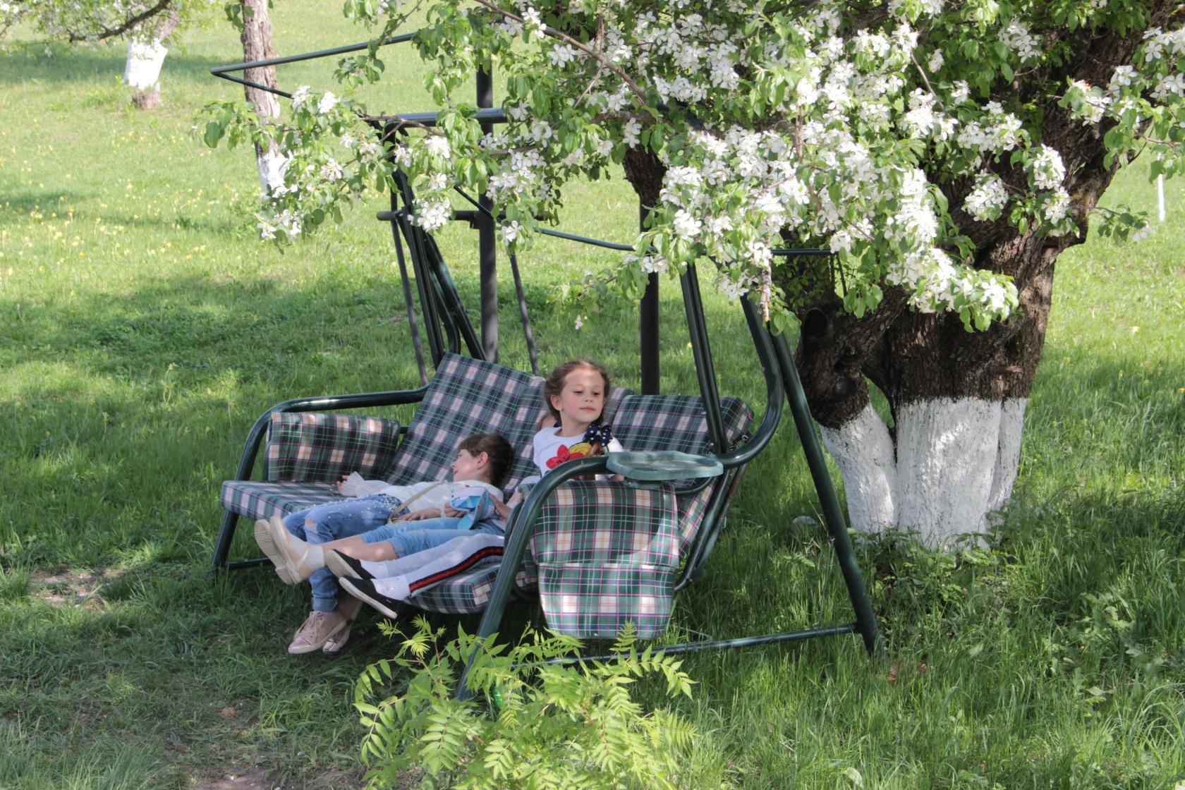 Фото Арсеньево