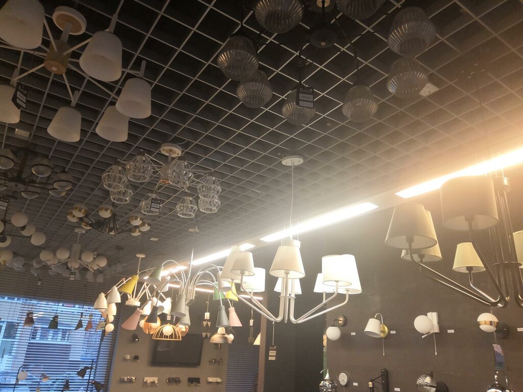 Management company Online shop Werkel, Moscow, photo