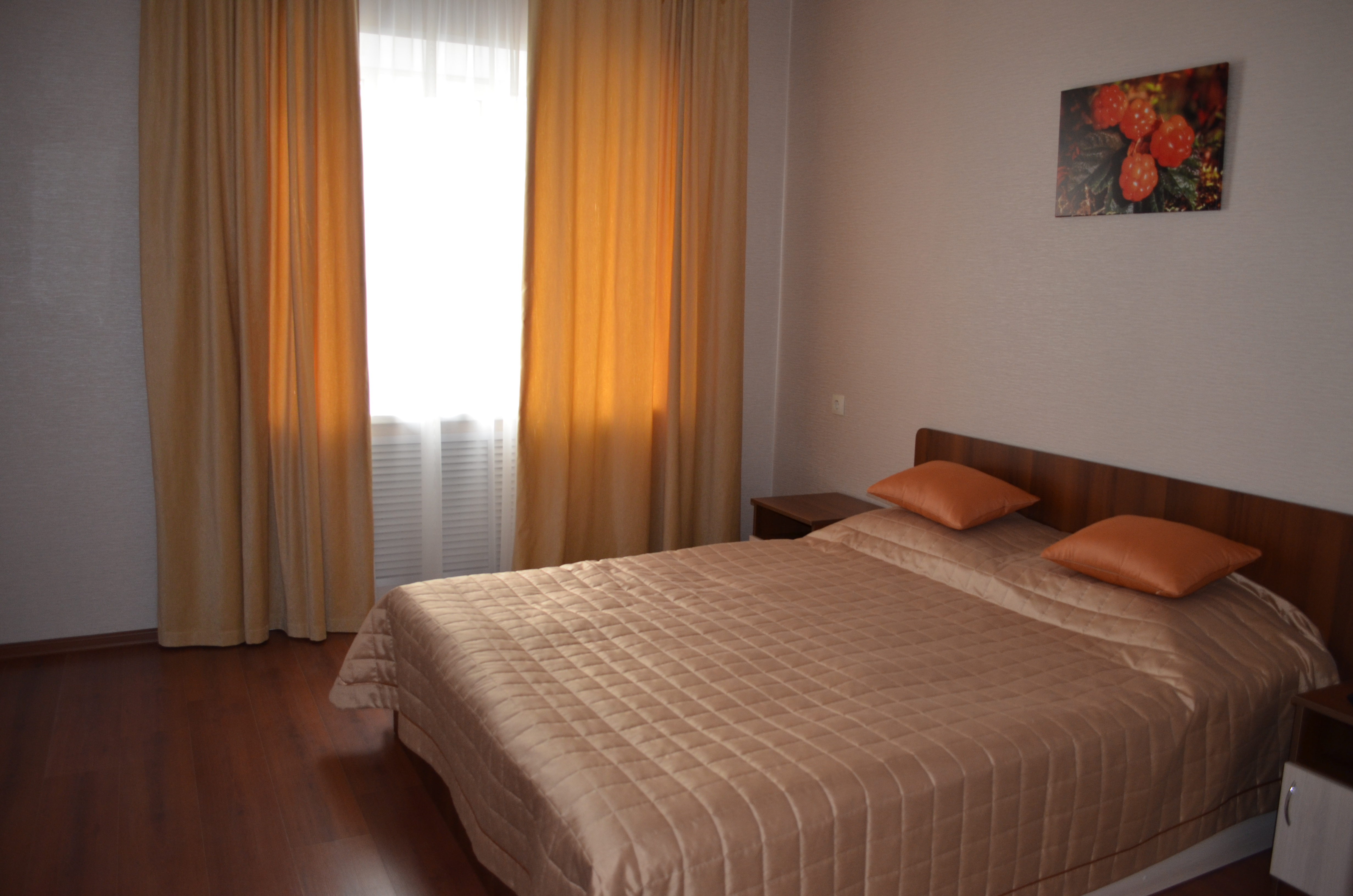 Фото Морошка