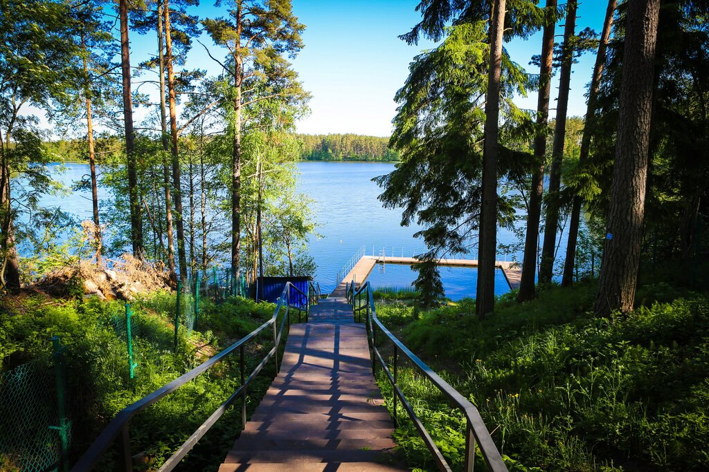 Детский лагерь отдыха Детский оздоровительный лагерь Чайка, Санкт‑Петербург и Ленинградская область, фото