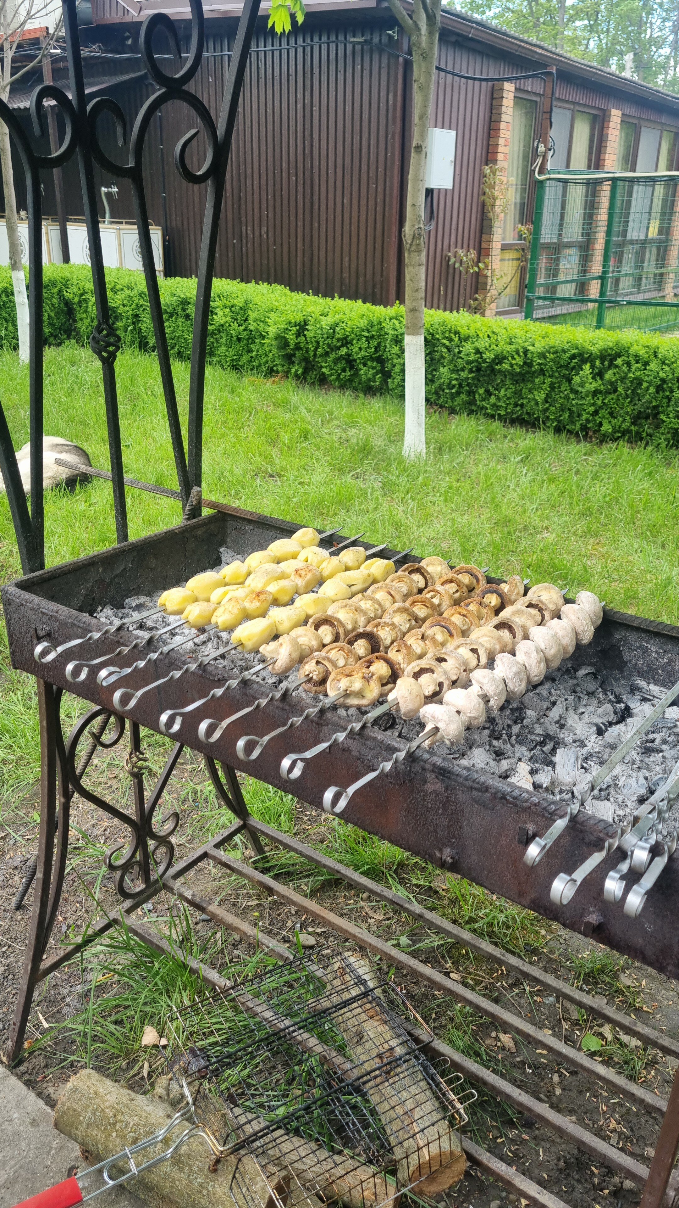 Фото Лесная сказка