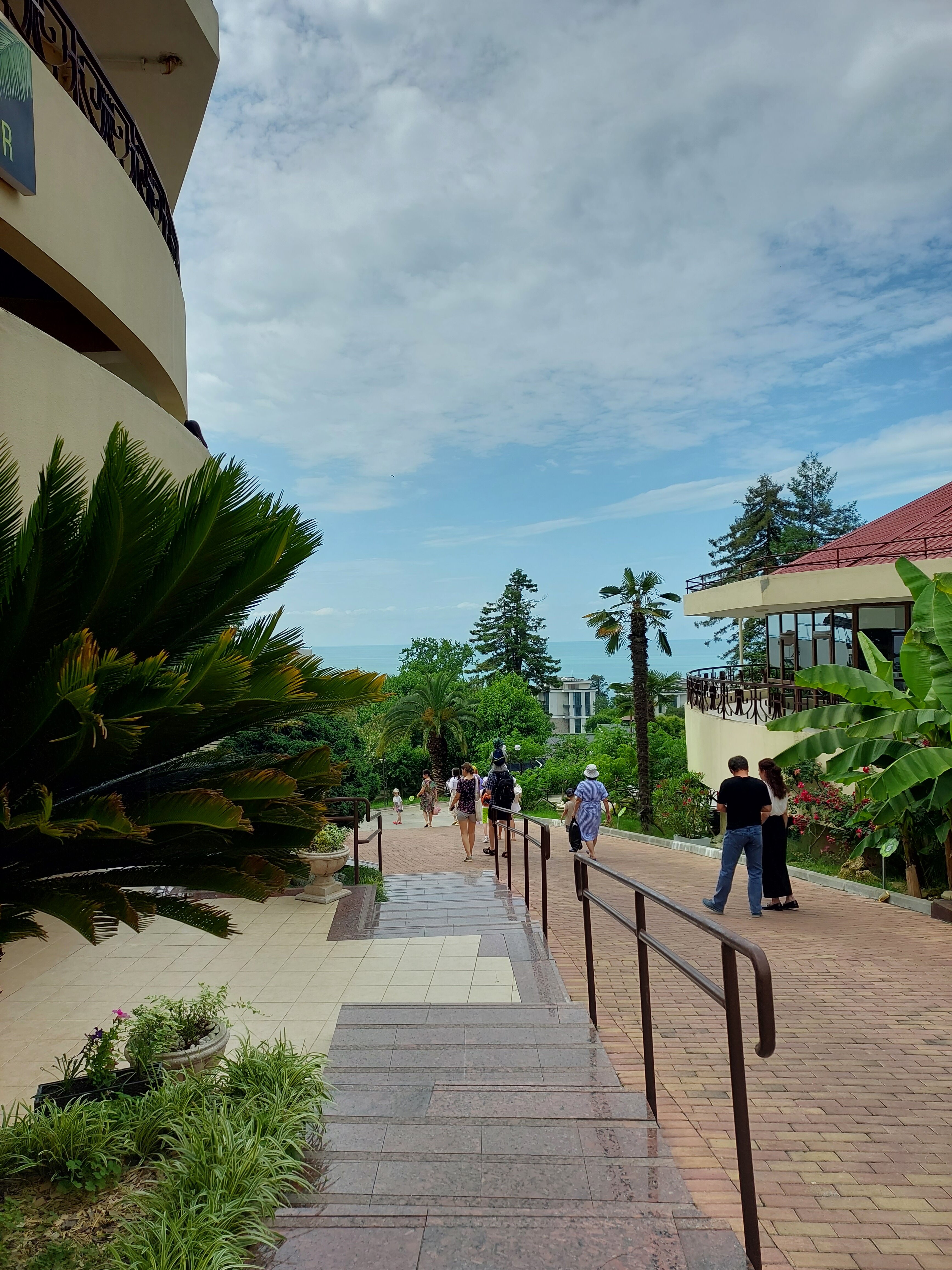 Фото Дивный