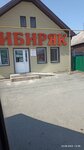 Сибиряк (selo Nikolo-Pavlovskoye, ulitsa Lenina, 71Б), cafe