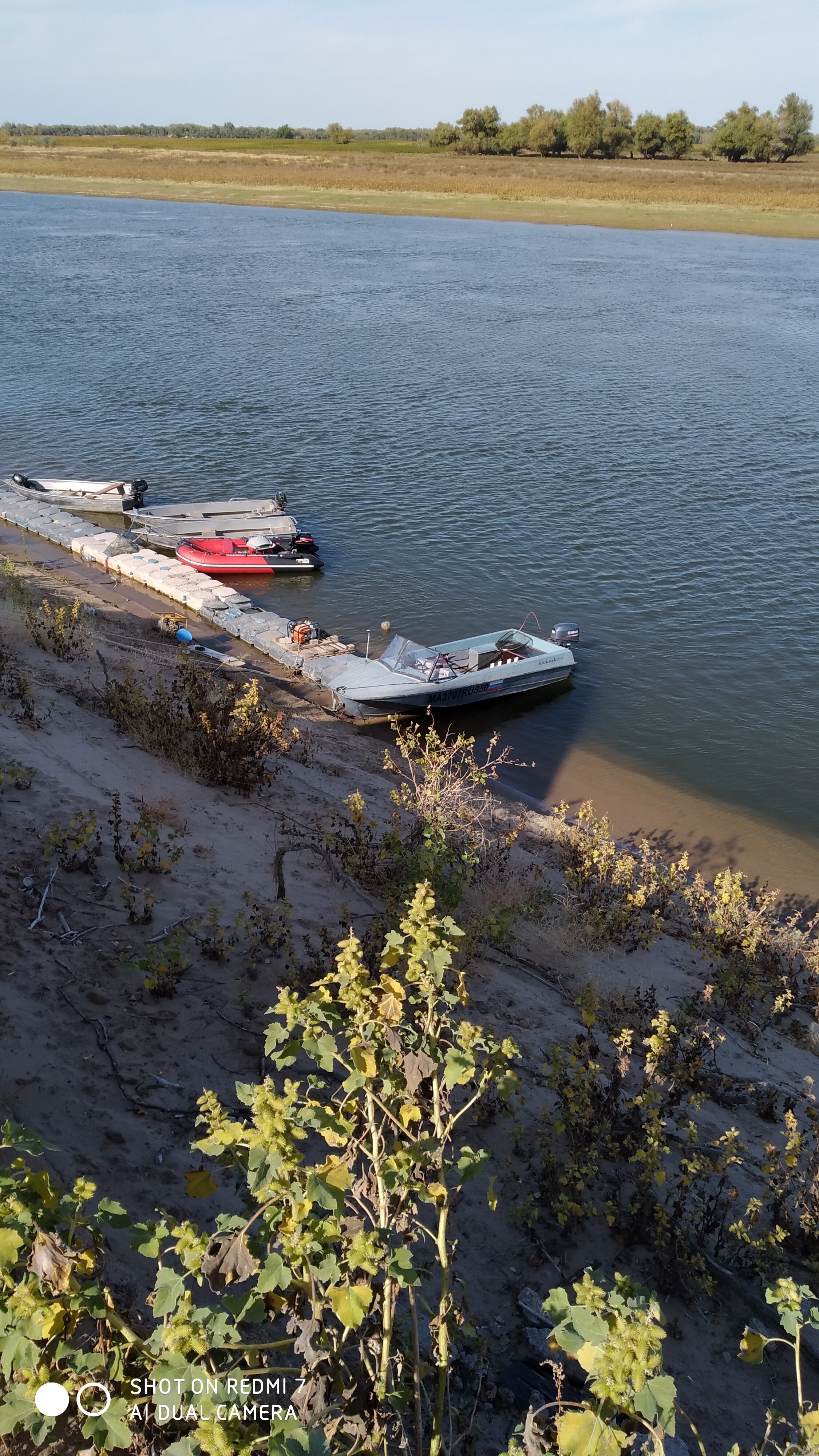 Фото Алимовский плес