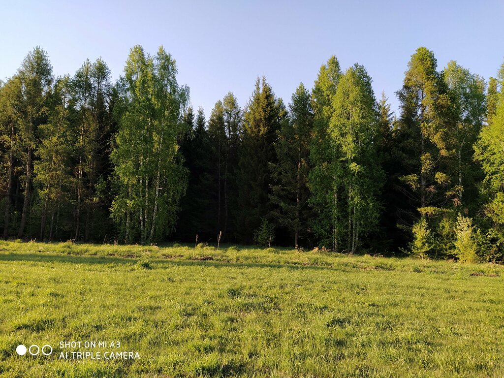 Парк культуры и отдыха Лесопарк имени Академика Синягина, Новосибирская область, фото