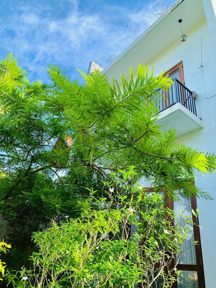 Фото Jungle City Hostel