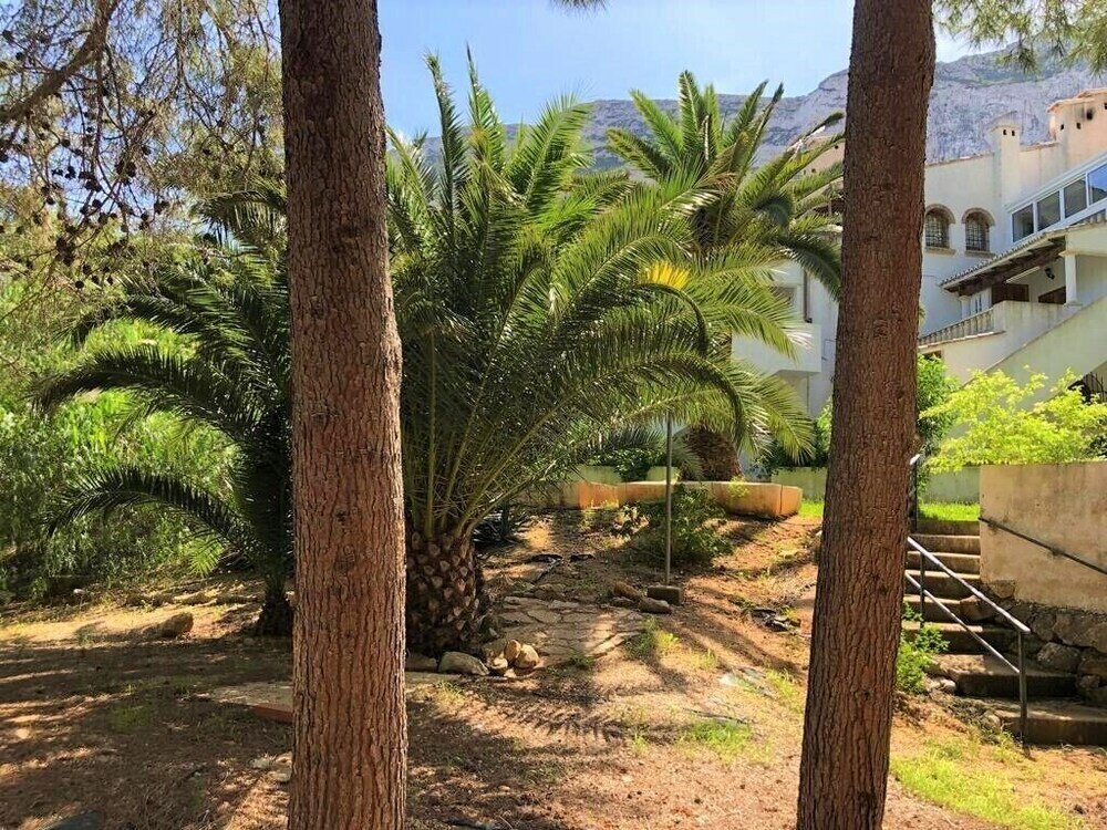 Фото Bungalow 1 dormitorio Montgó