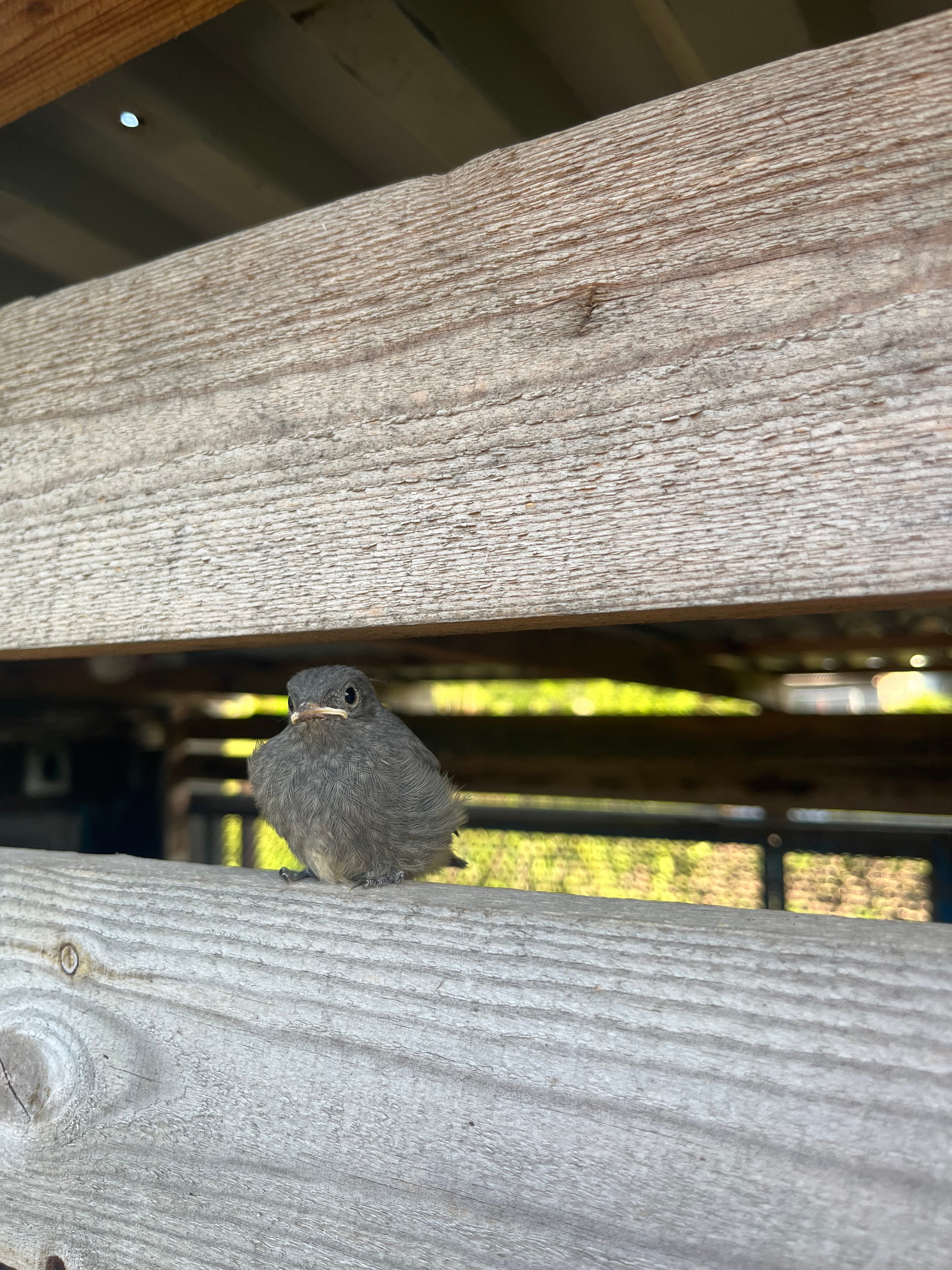 Фото Рассвет