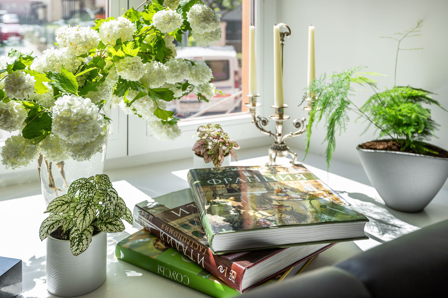 Фото Zalkind Hotel