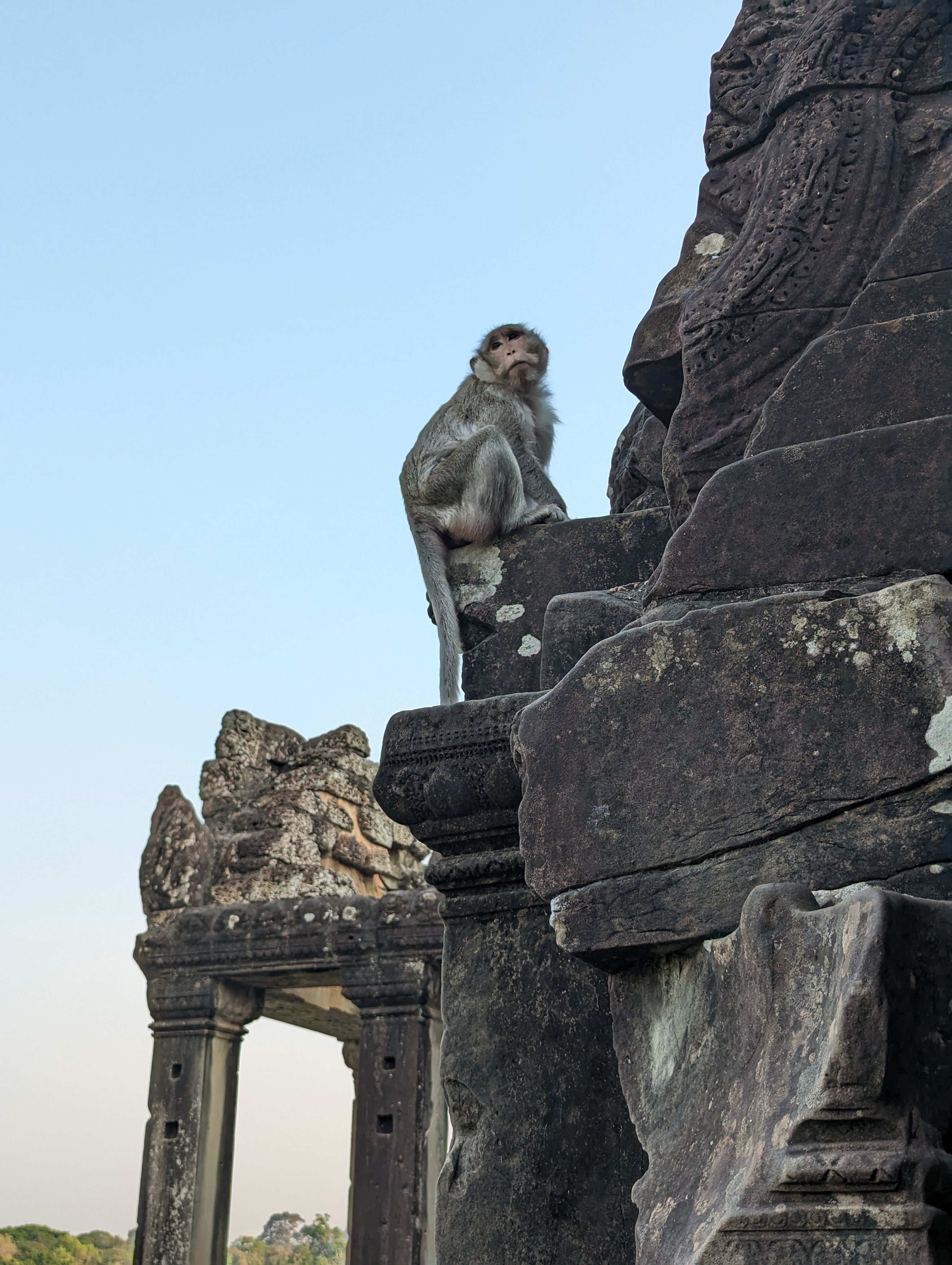Фото Бутик-Отель Residence Wat Damnak
