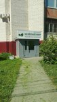 Зелёный мир (Radishcheva Street, 147), recycling