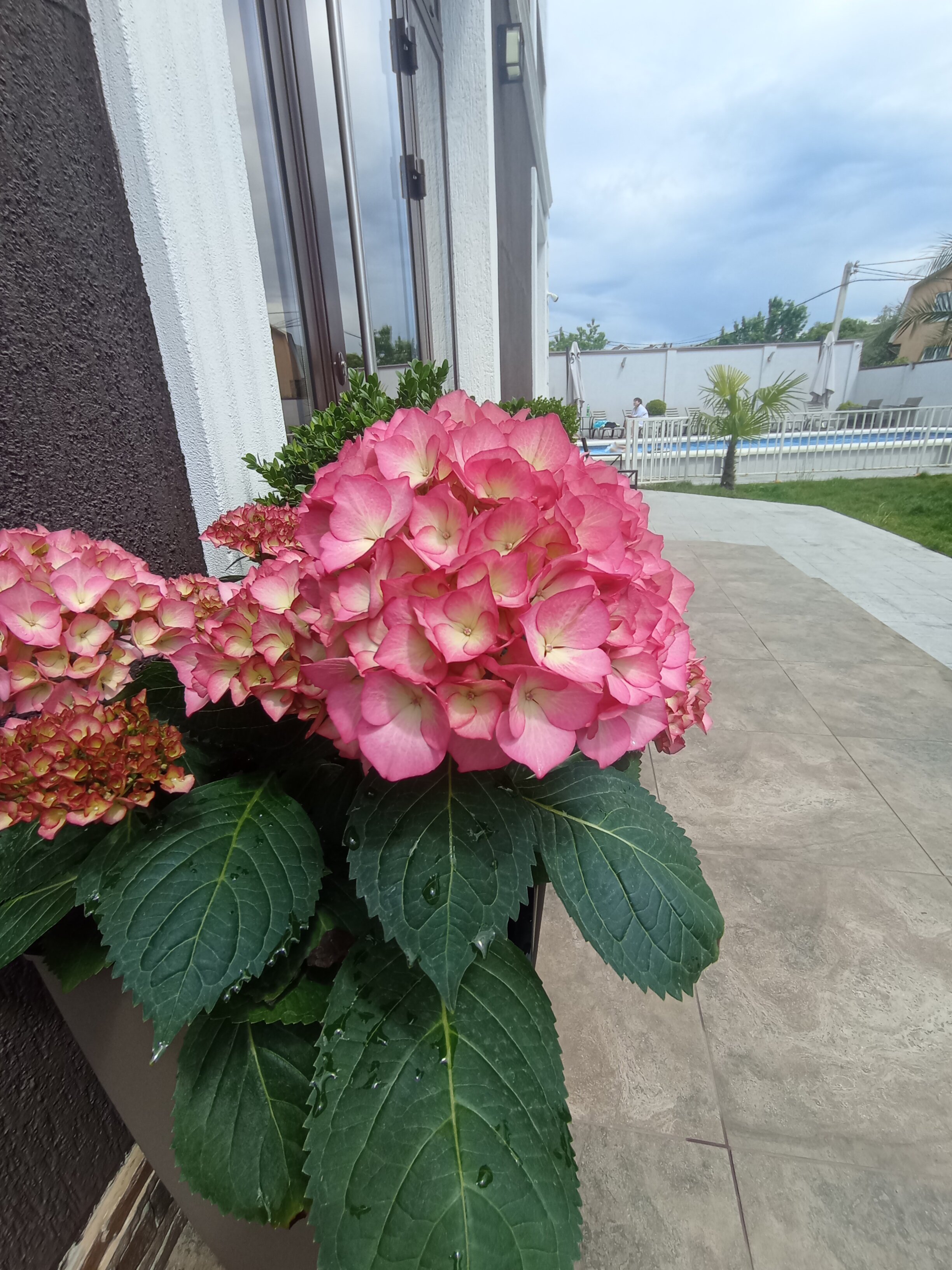 Фото Appart Village