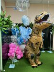 Skazochnyy mir (Leningradskaya Street, 82В) ، تنظيم فعاليات الأطفال