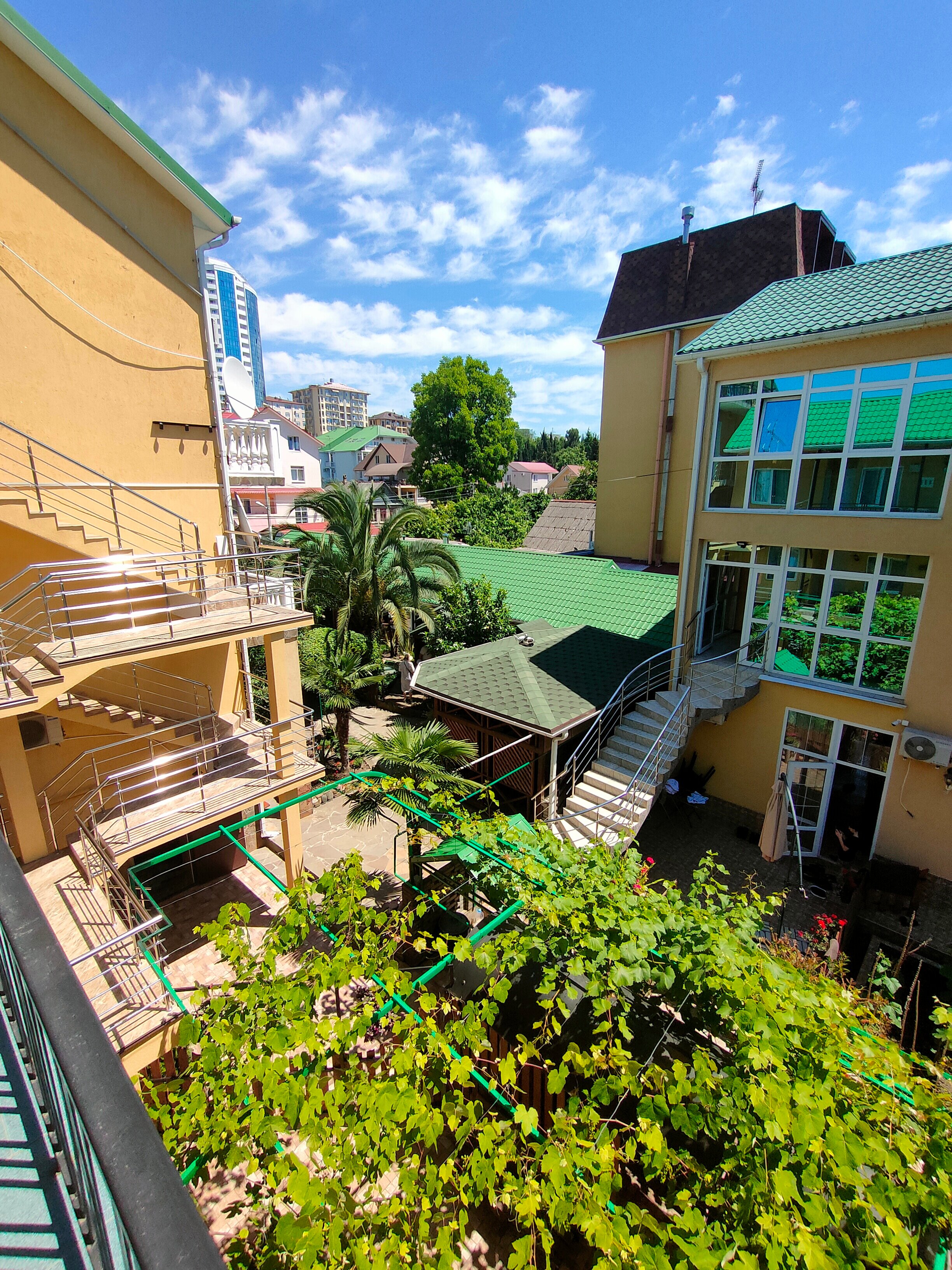 Фото Ромашка