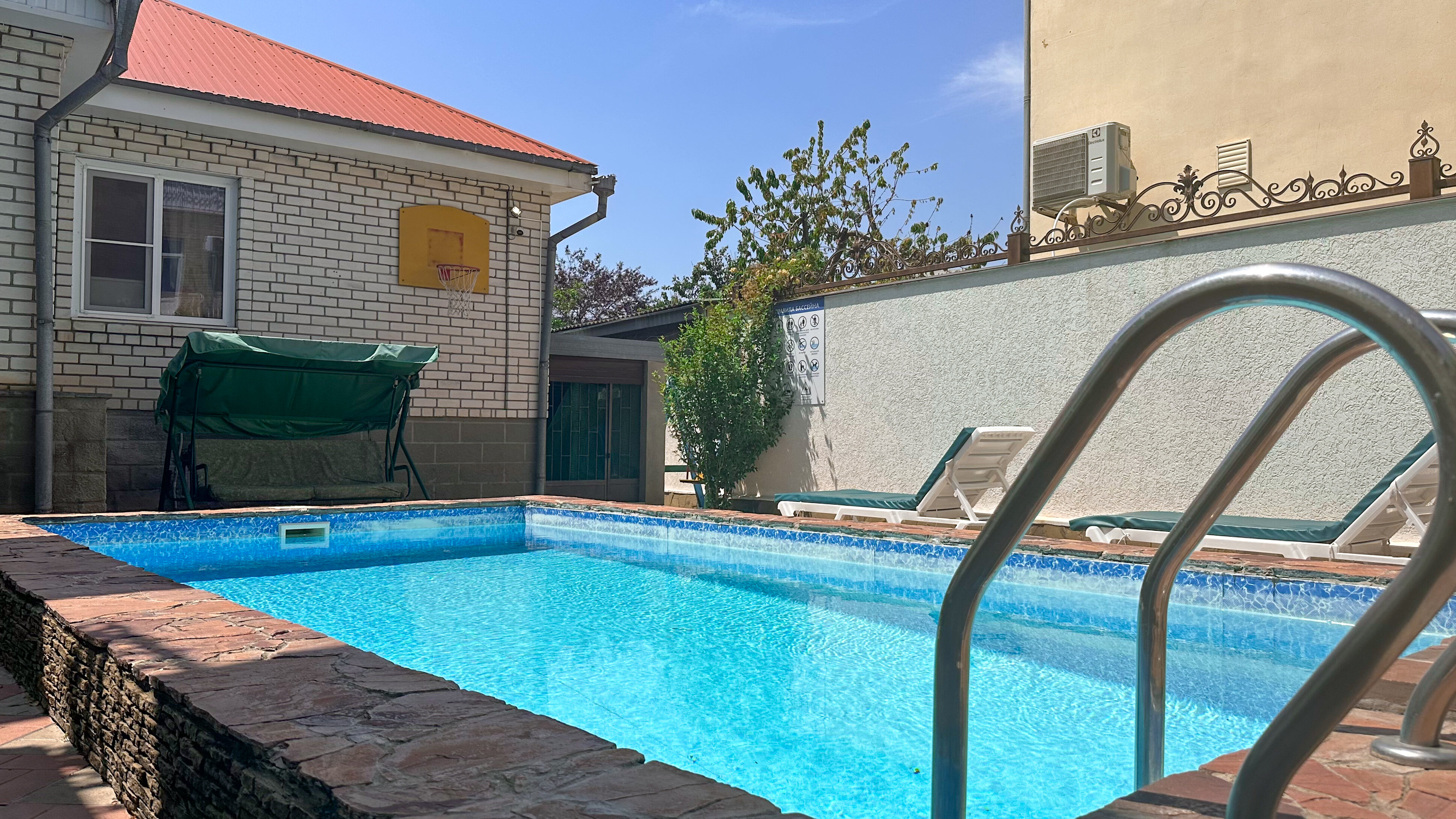 Фото Дельфиния