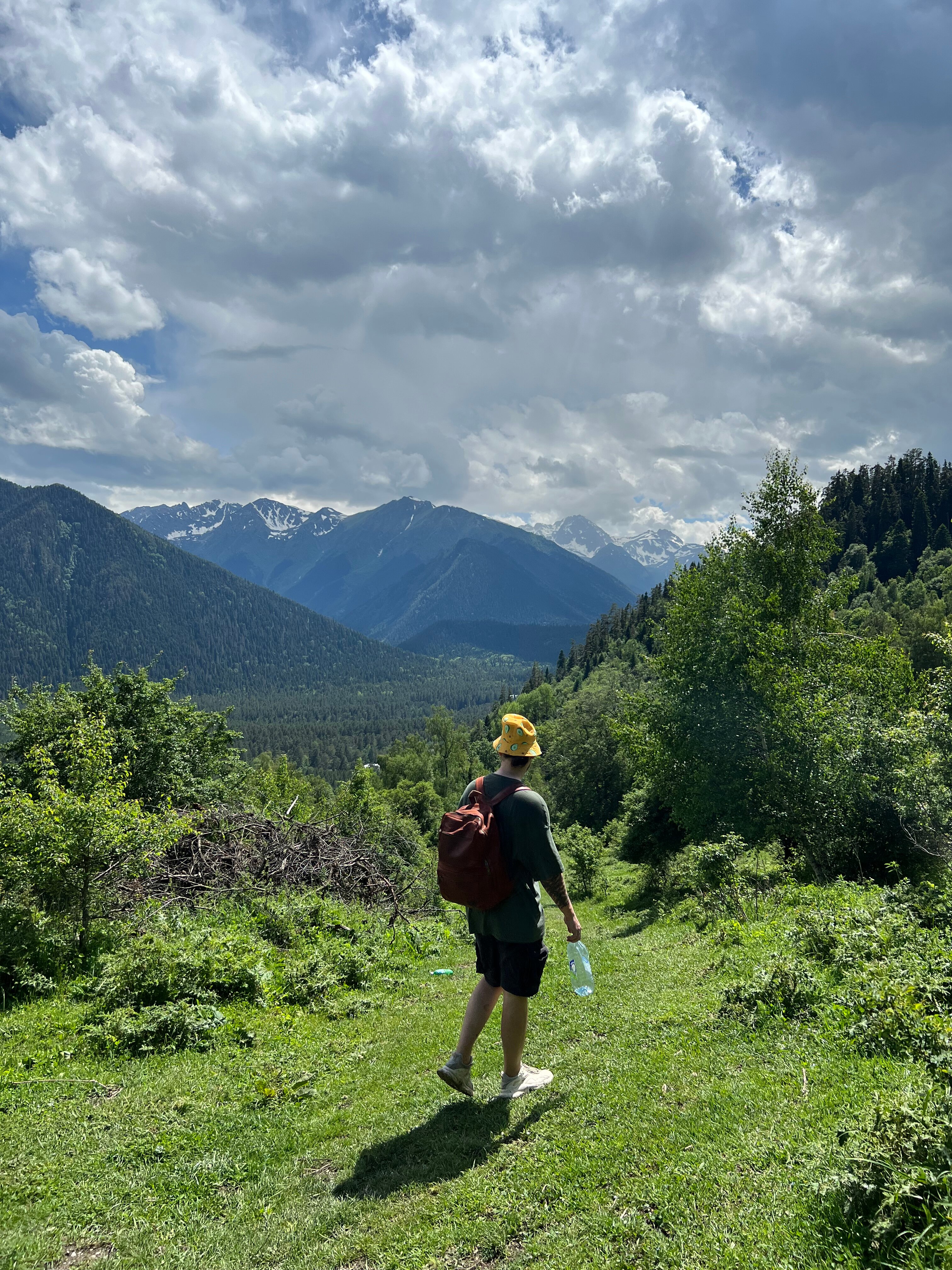 Фото Paradise Forest