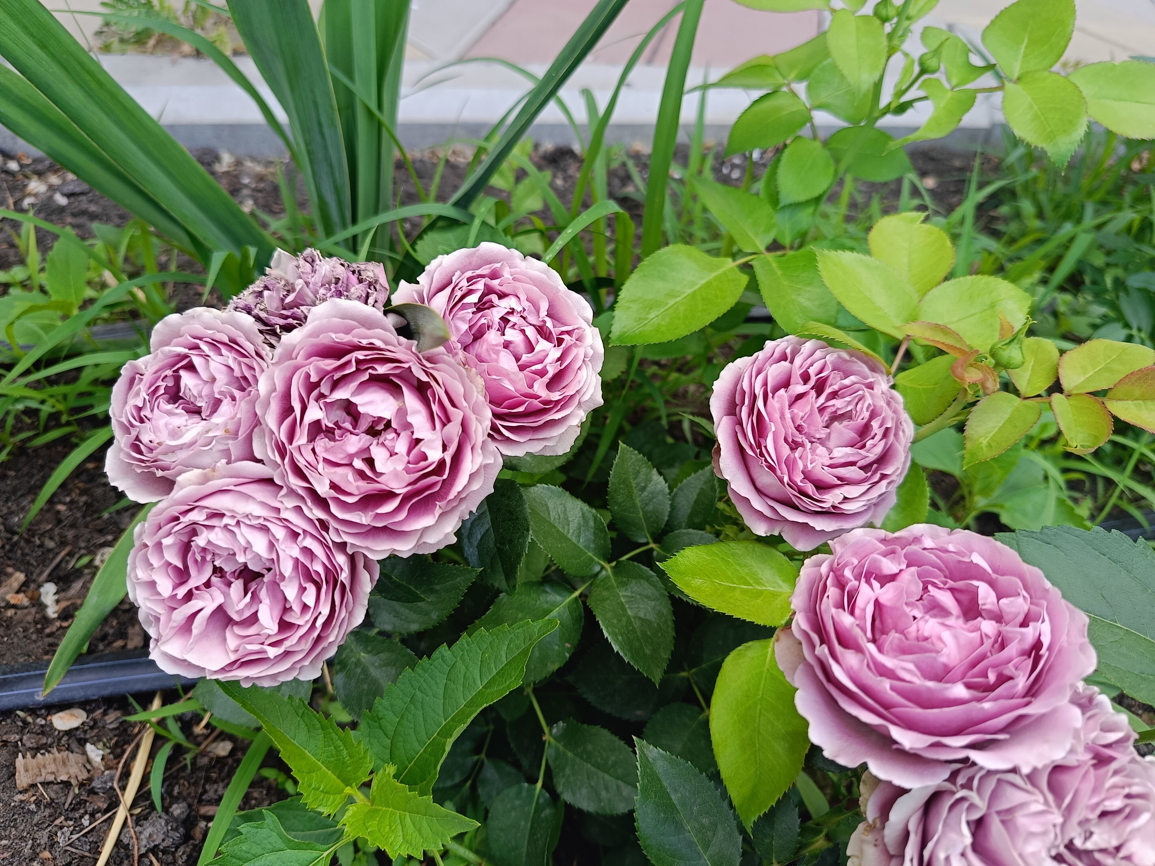 Фото Отель 861 км