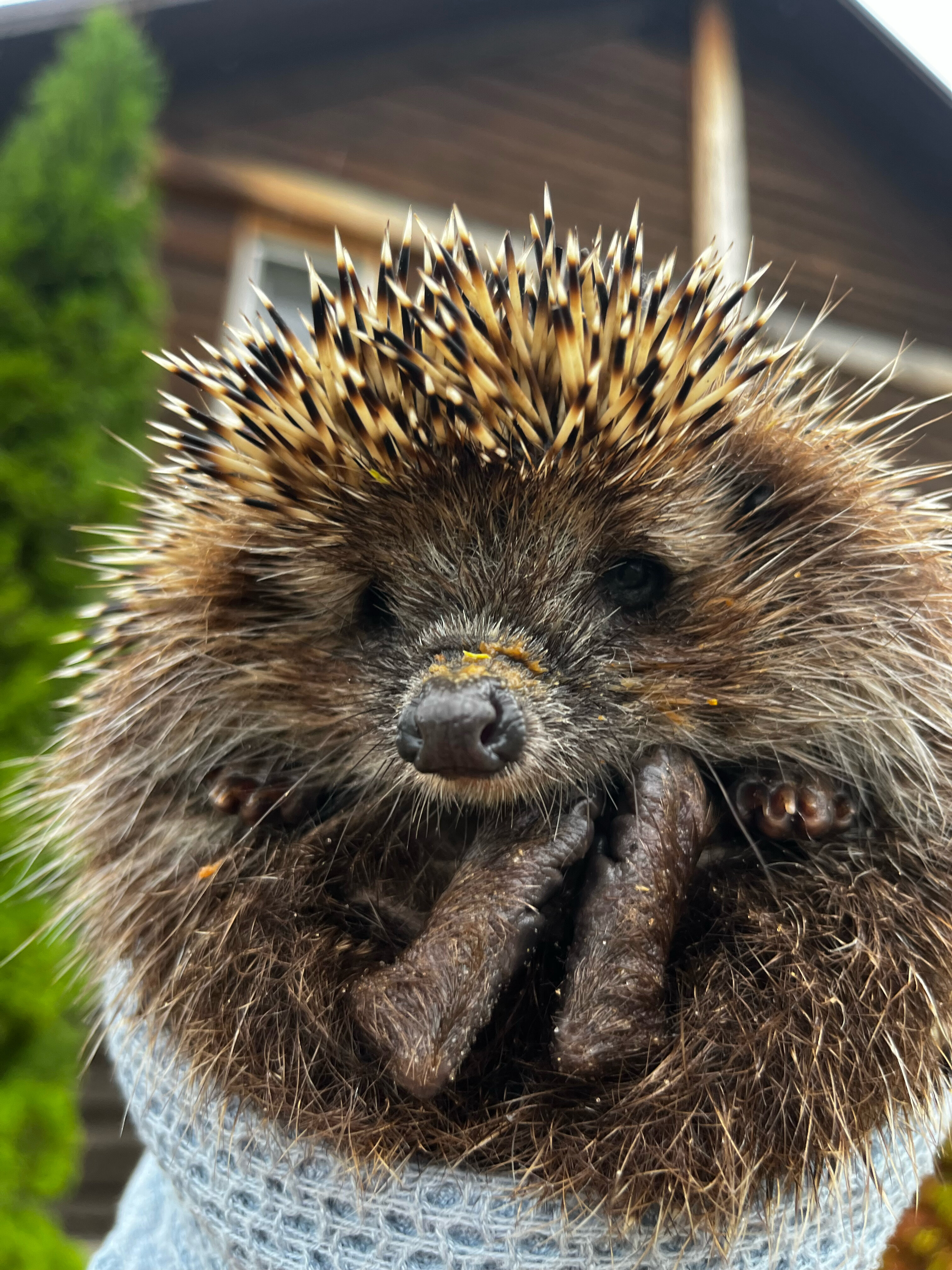 Фото Скаzка