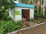 Павильон (Kirovo-Chepetsk, Sosnovaya ulitsa) ، متجر بيع خضر خضروات طازجة