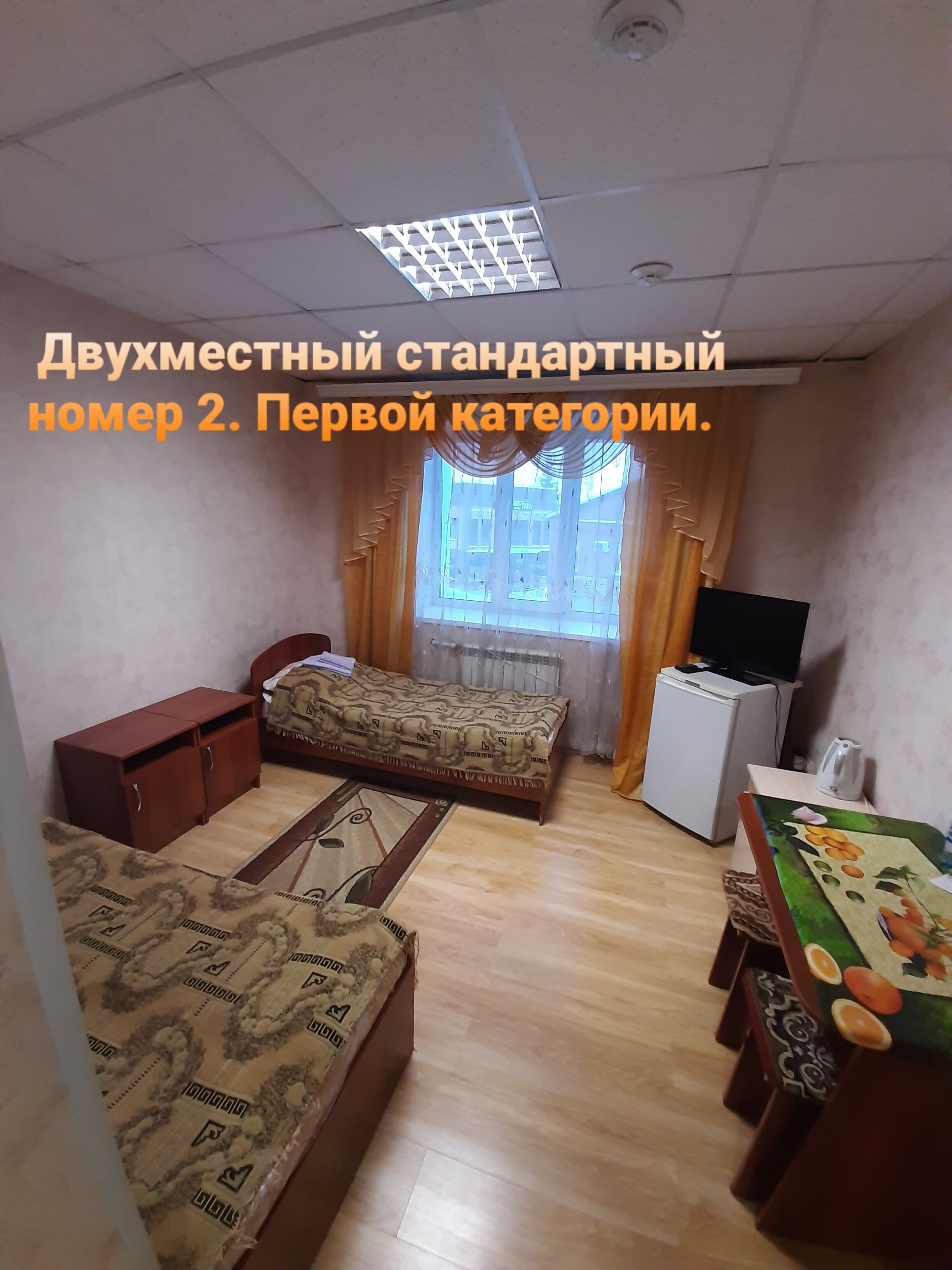 Фото Колибри