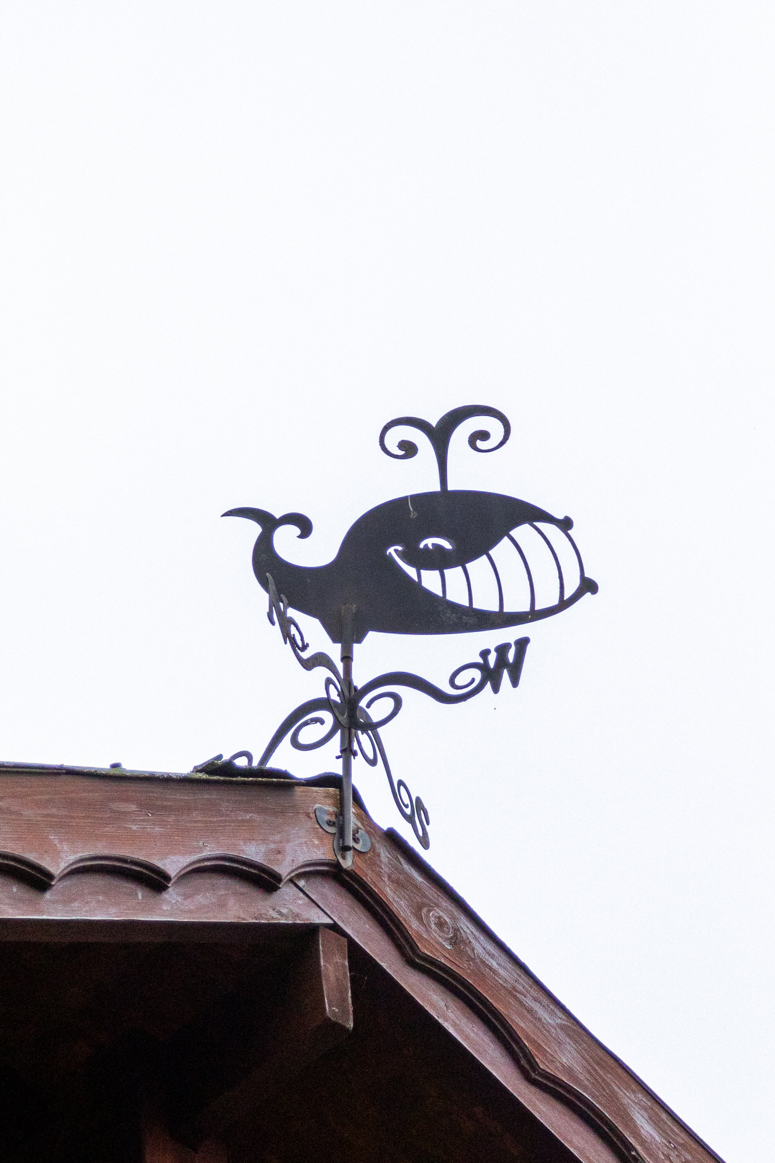 Фото Ольховая