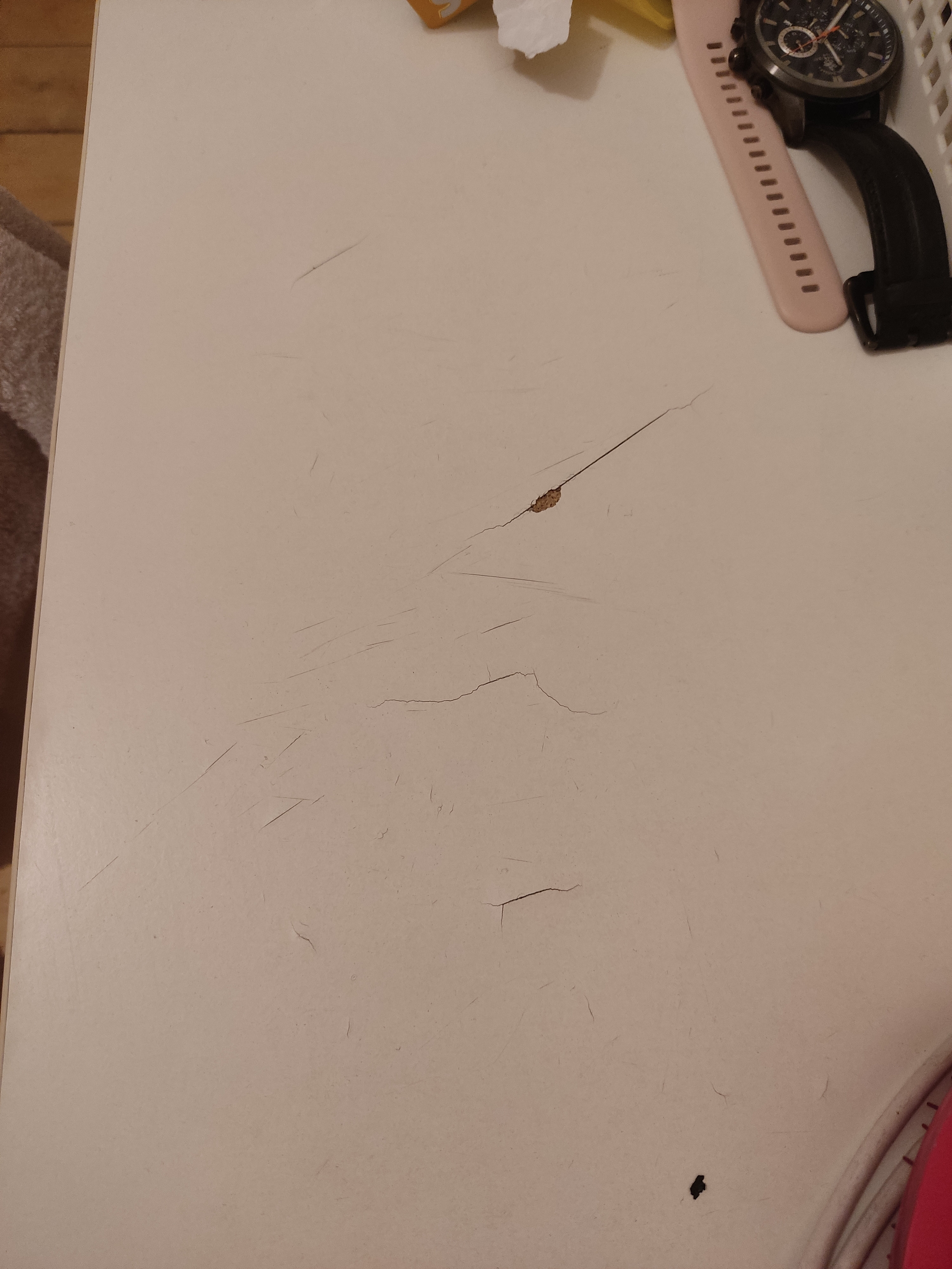 Фото WhiteNight на Фонтанке