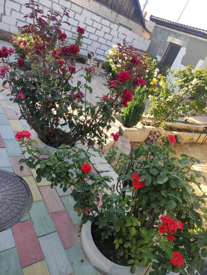 Фото Адмирал