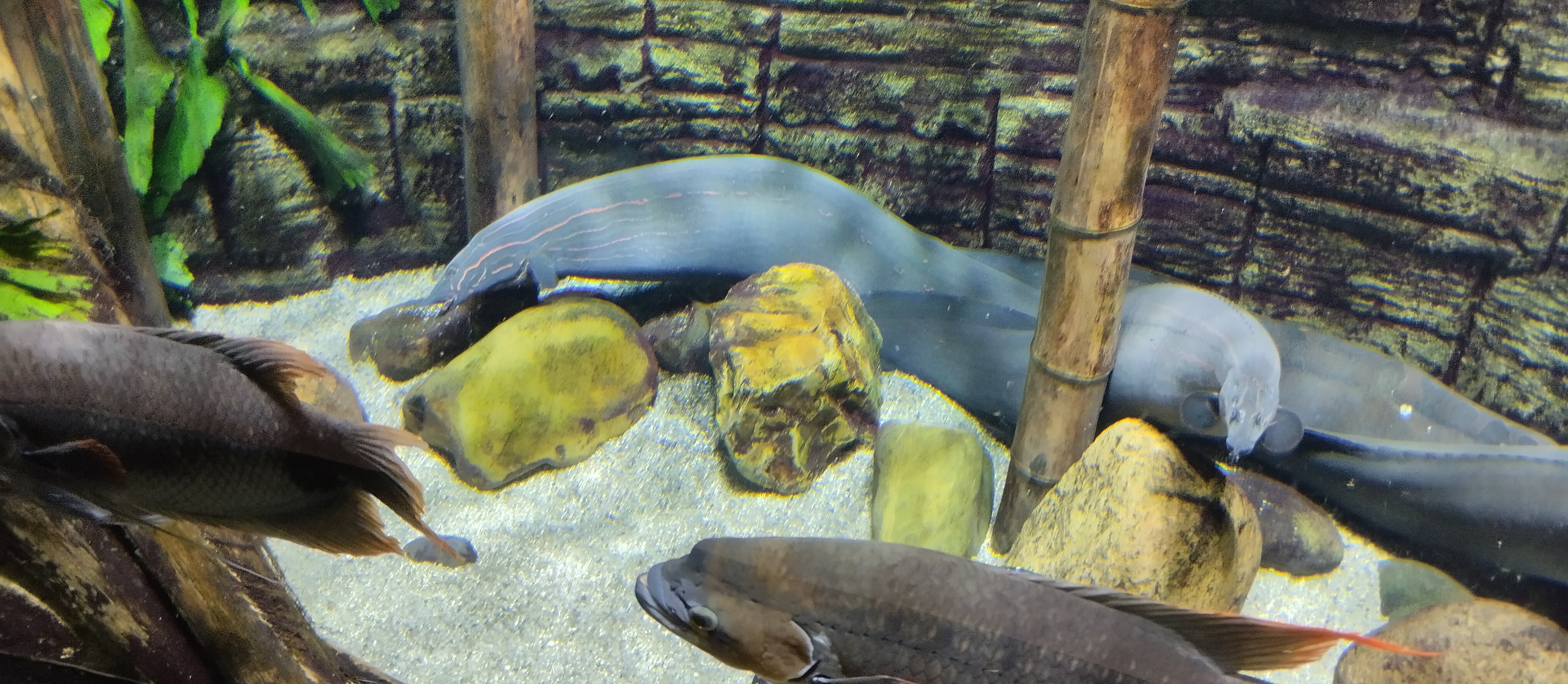 Фото Отель Когалым