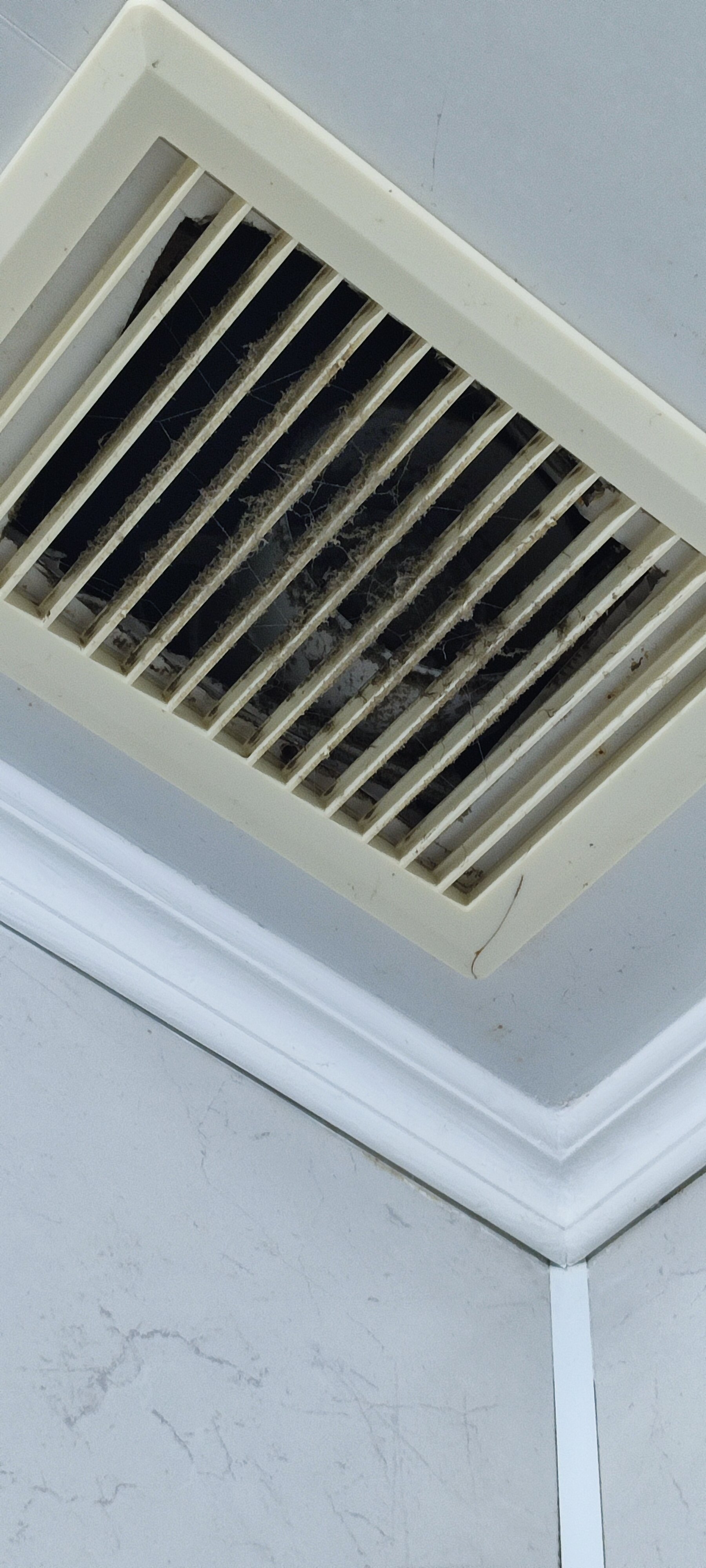 Фото Корона