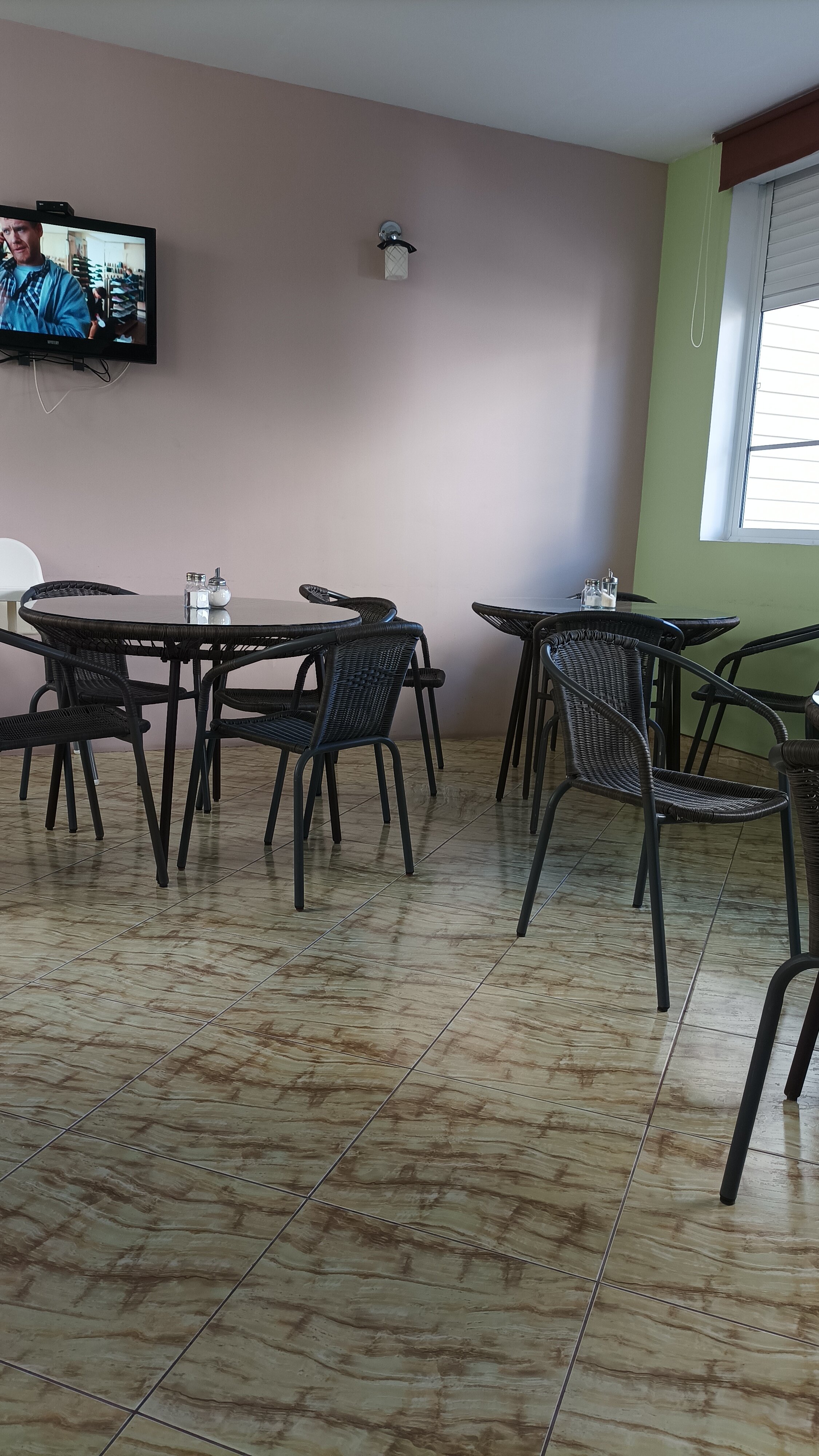 Фото Березы