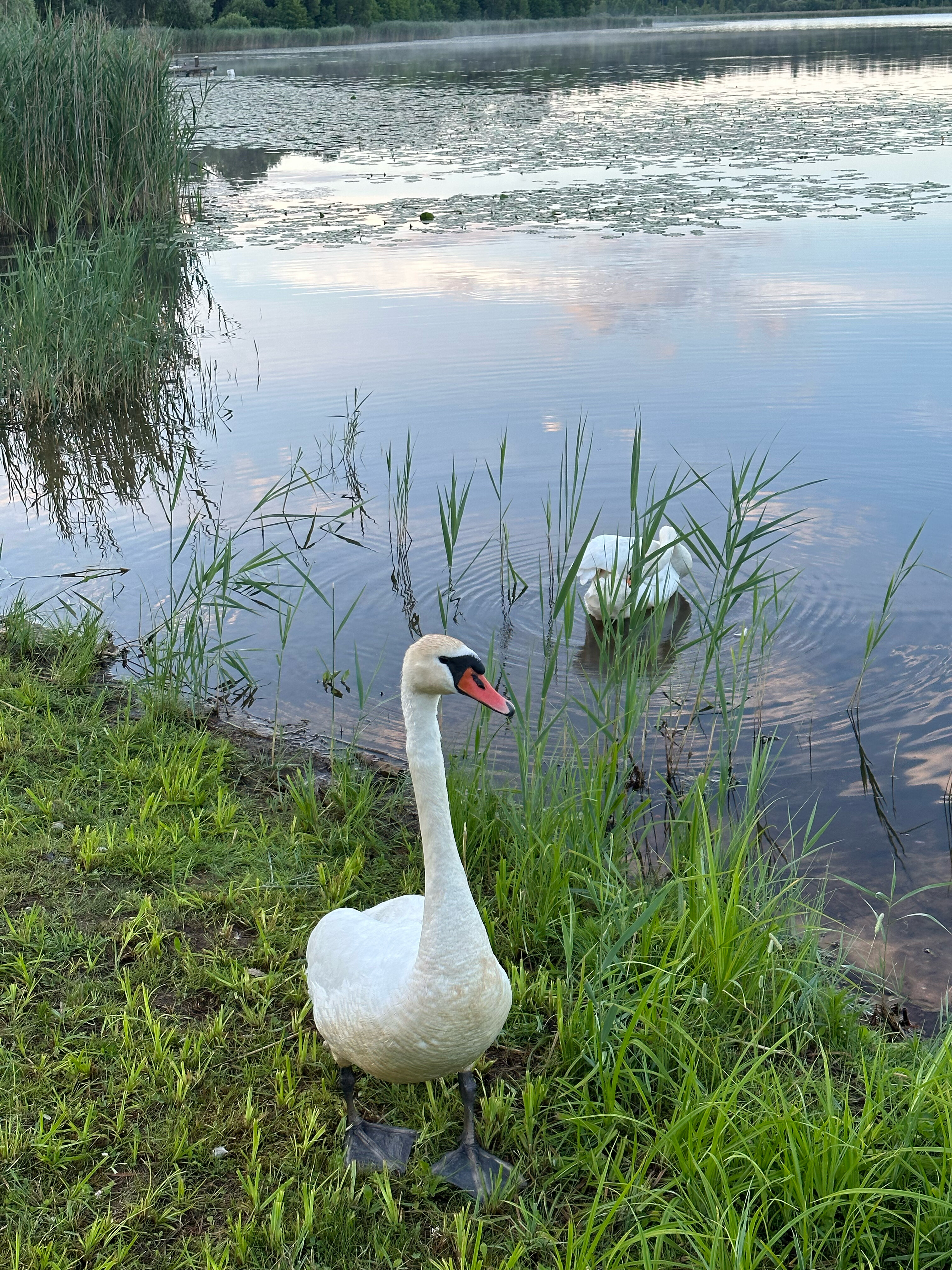 Фото Имение Алтунъ, корпус Барский флигель
