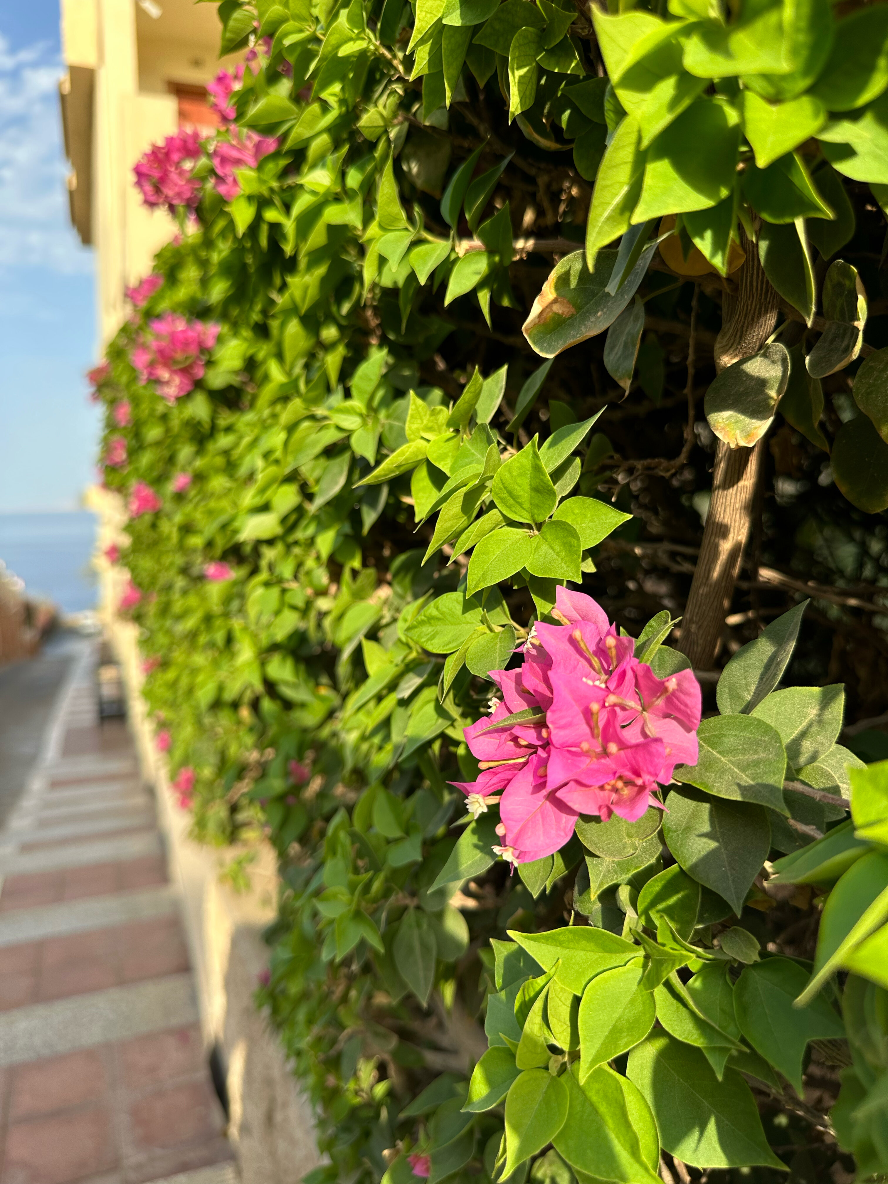 Фото Xperience Sea Breeze Resort