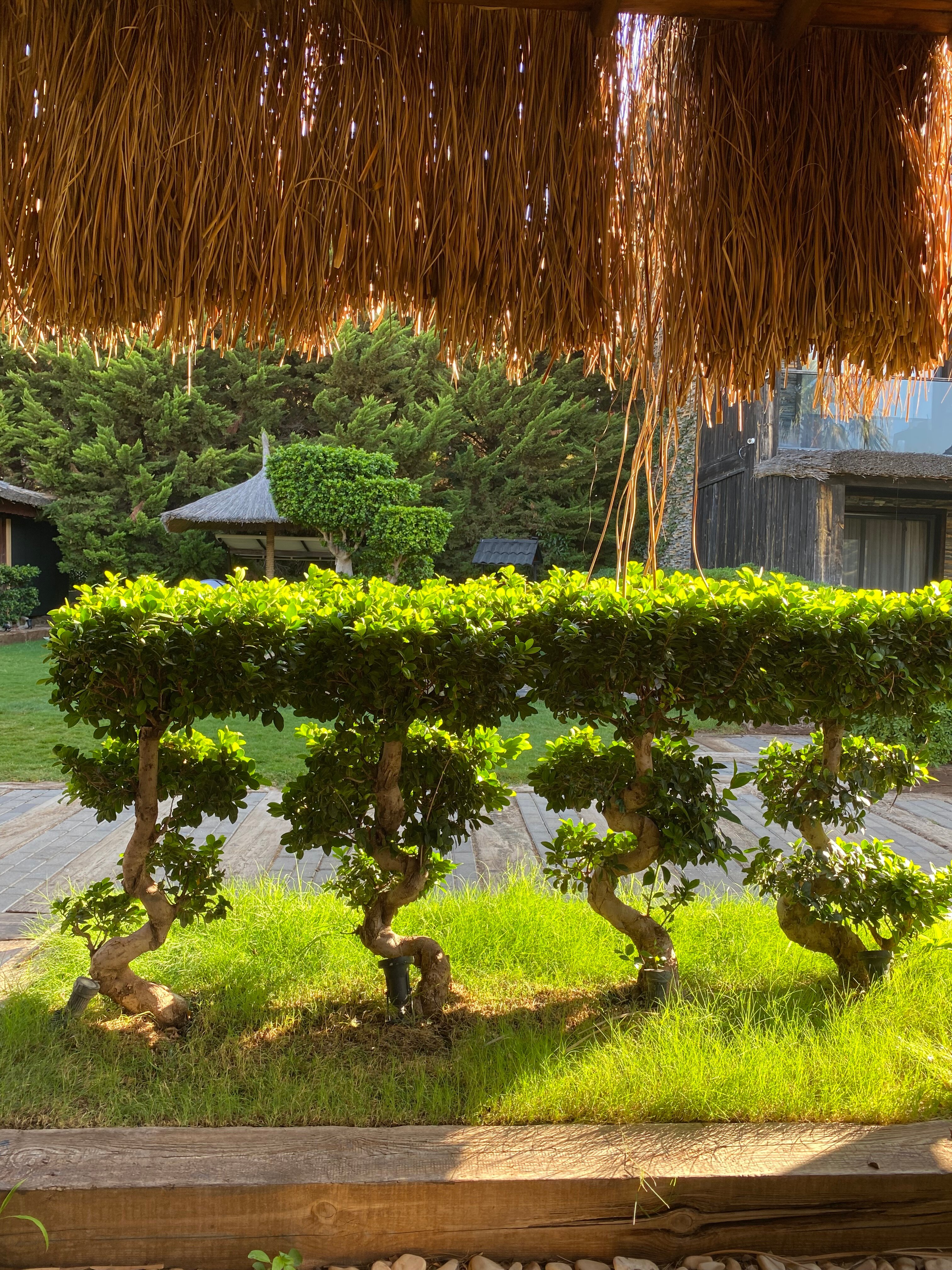 Фото Manaspark Deluxe Hotel Ölüdeniz