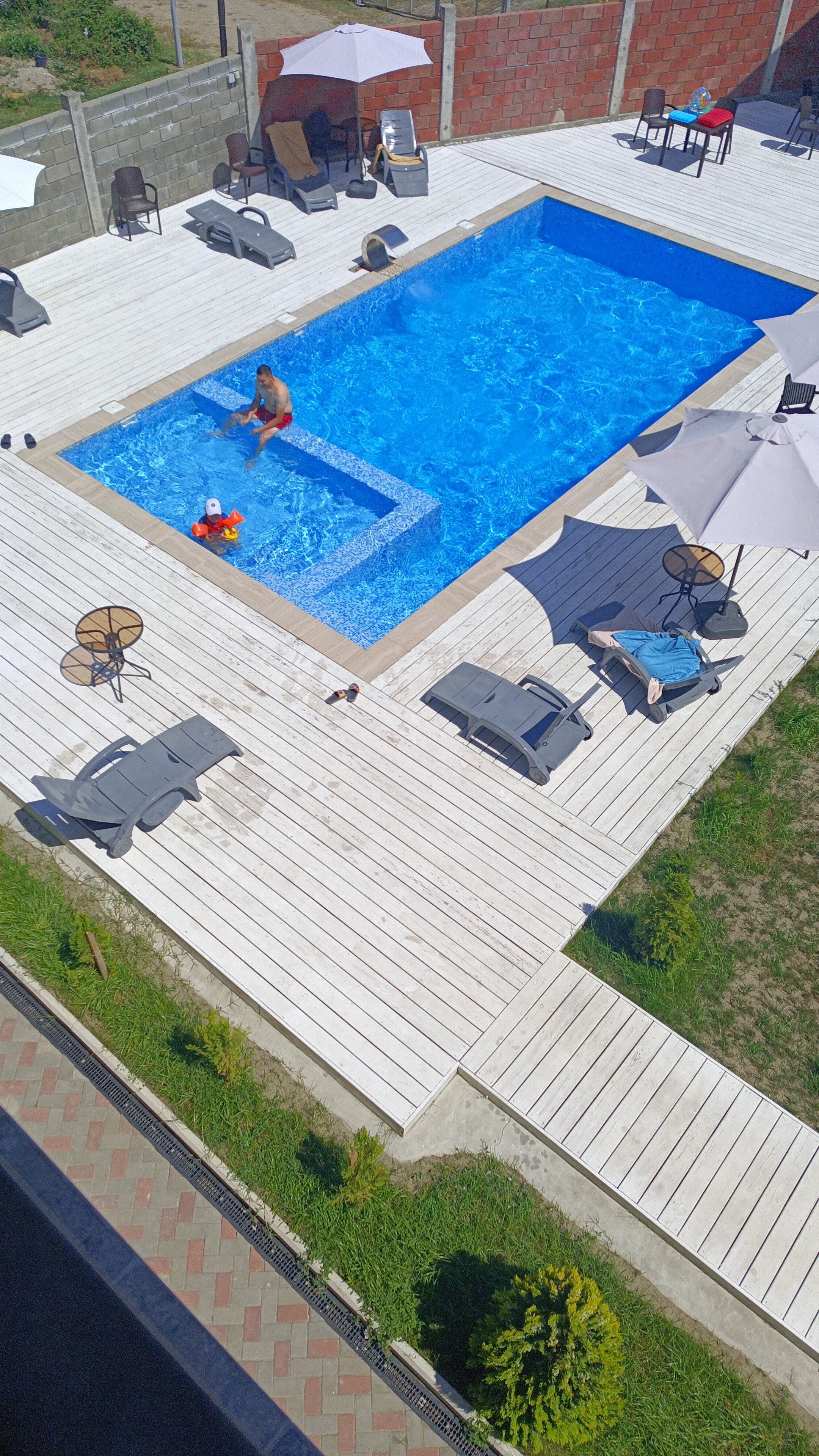 Фото Бугенвиллея