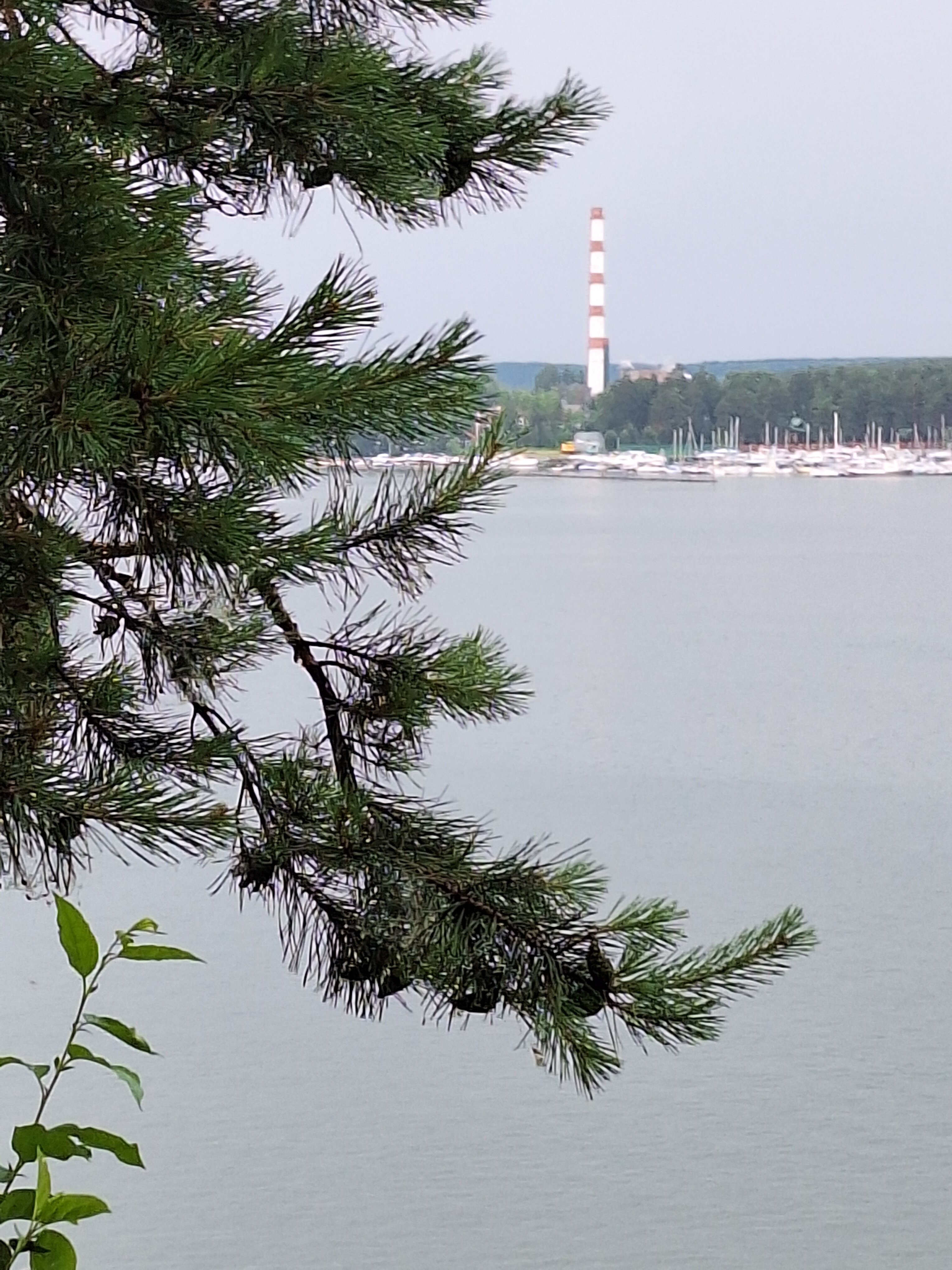 Фото Лесная сказка