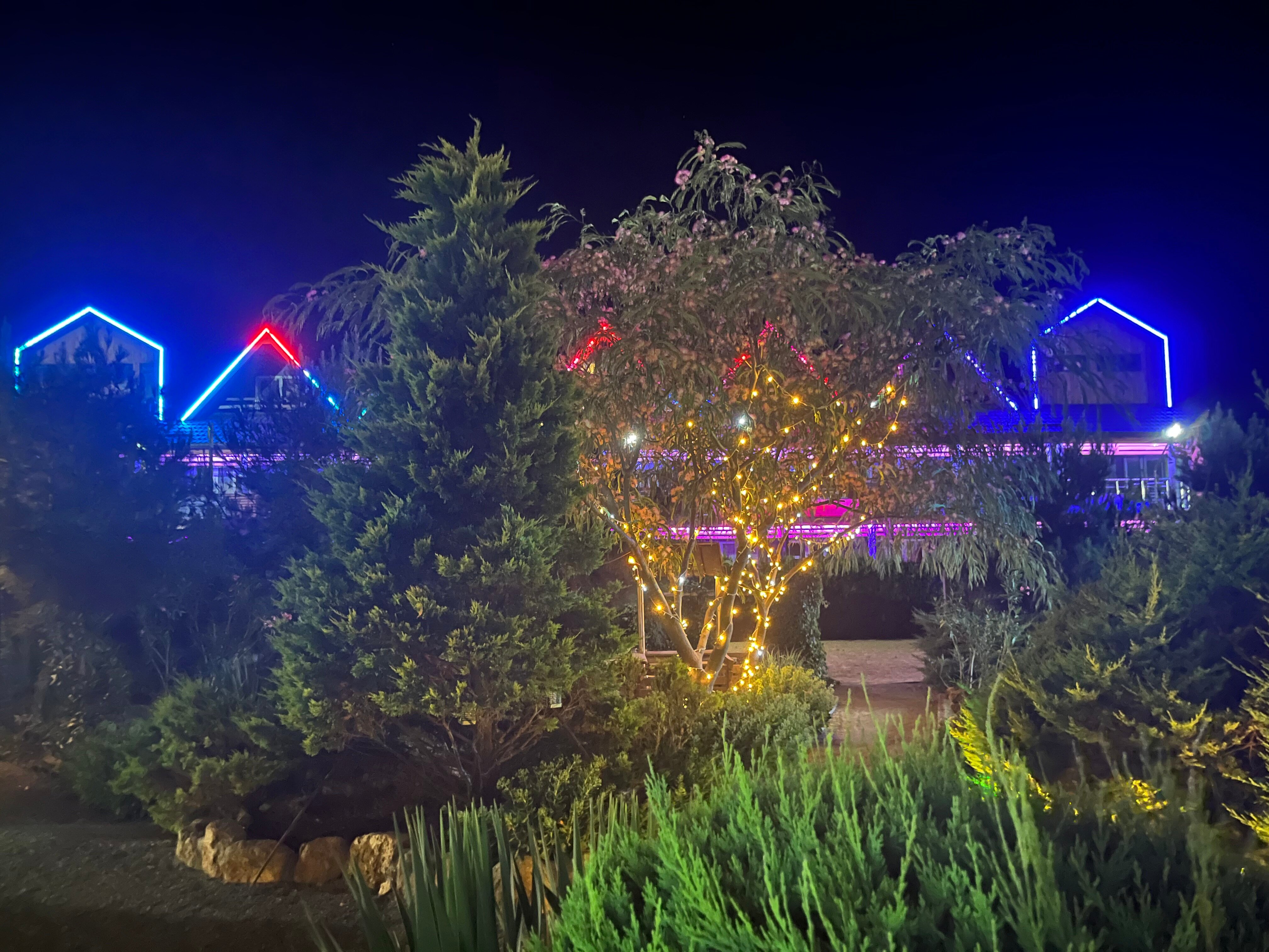 Фото Беляус