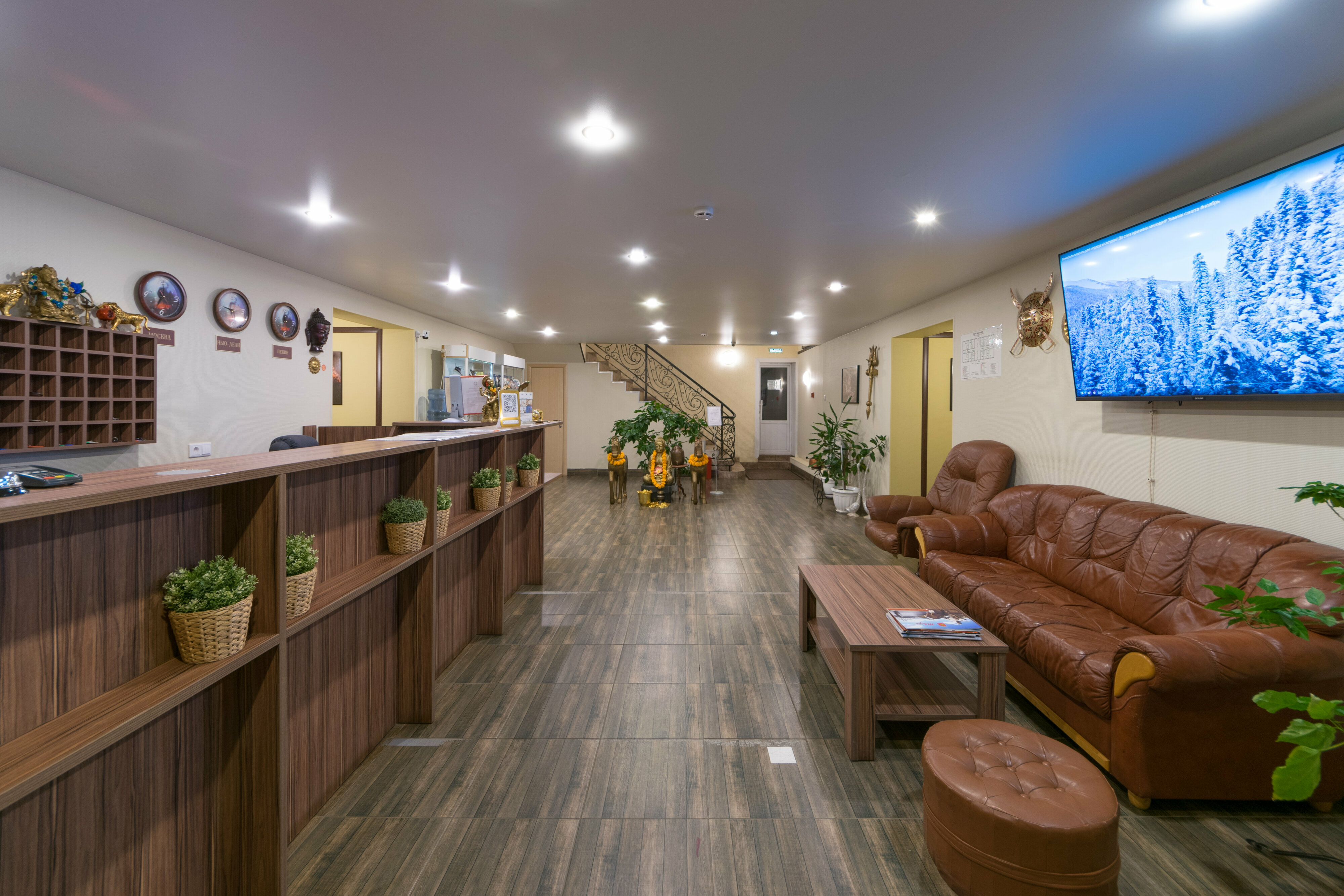 Фото Ситара