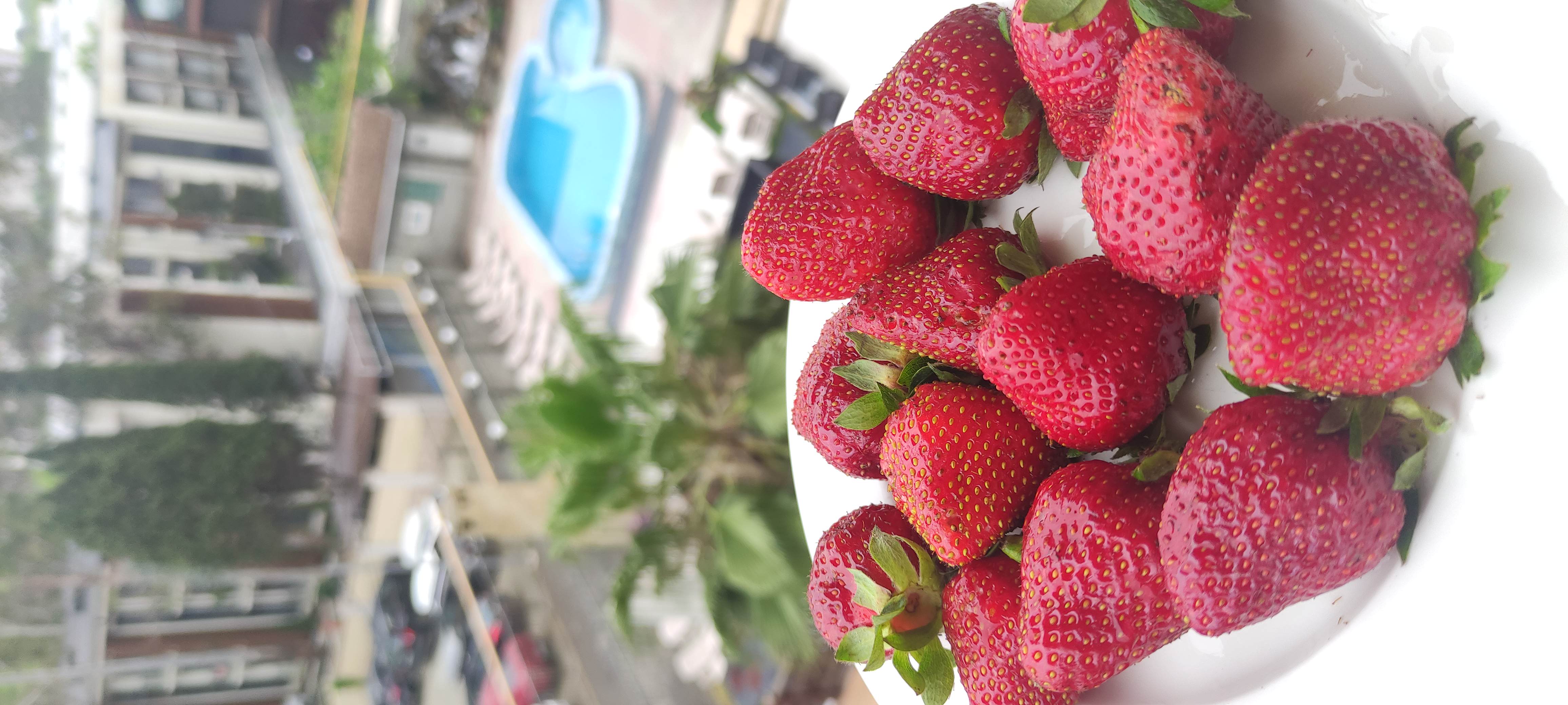 Фото Сеть отелей Олимпия отель Алые паруса