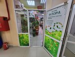 Flora (Dzerzhinskogo Street, 18), flower shop