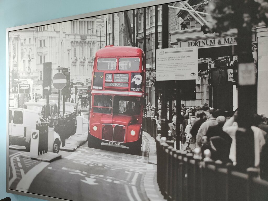 Web design studio Webnight, Tula, photo