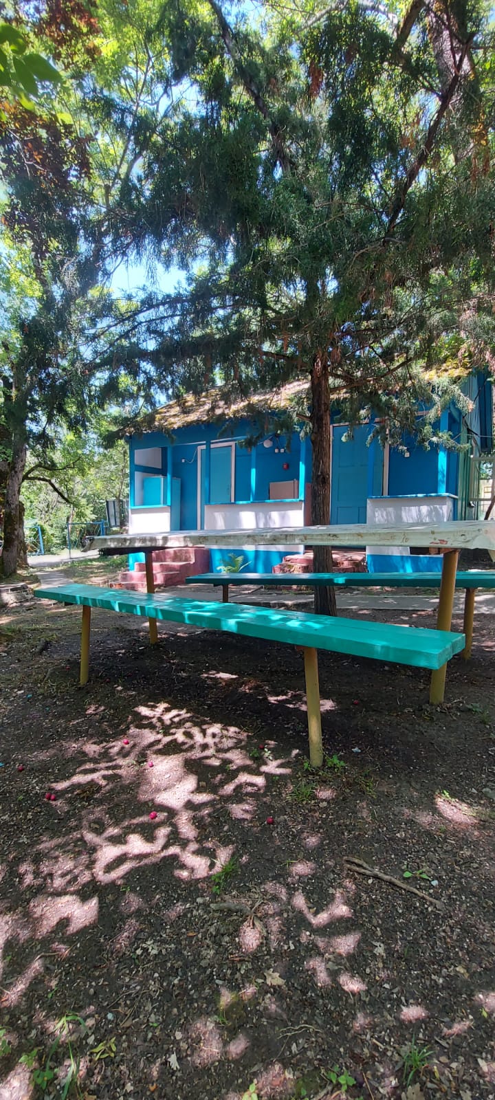 Фото Эдельвейс