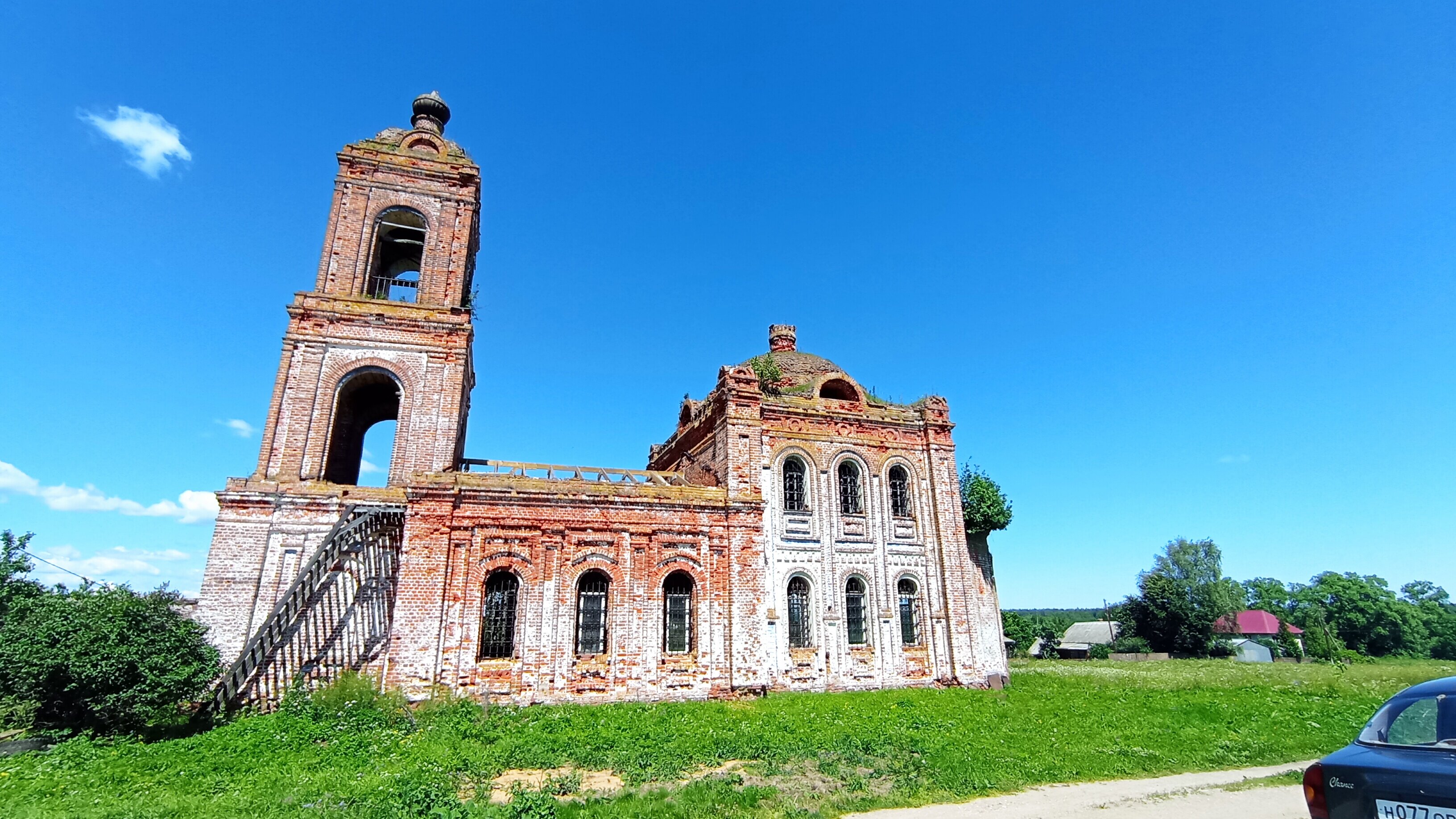 Фото Орхидея