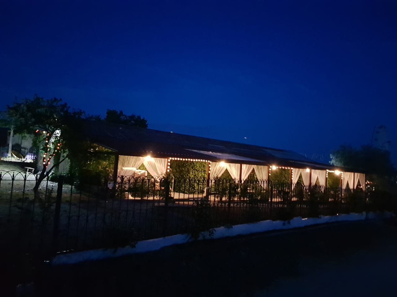 Фото Кактус