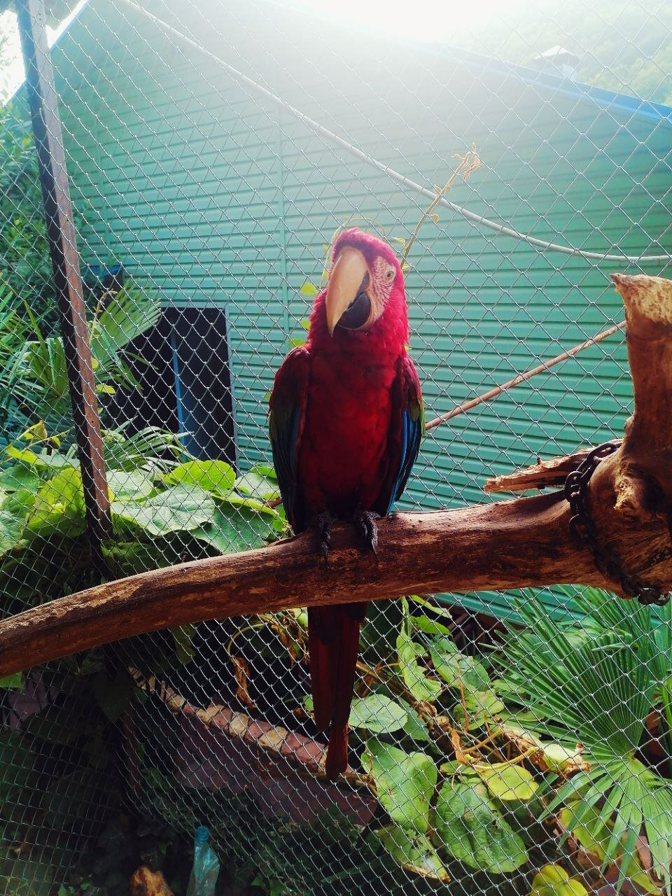 Фото Весна 6